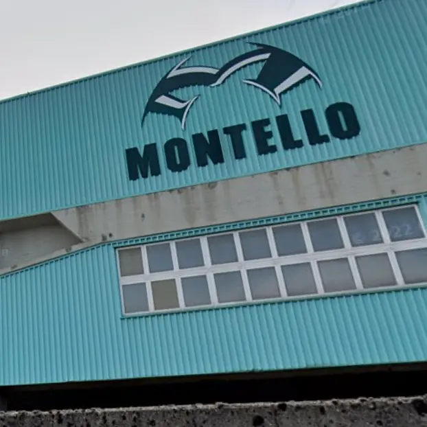 Operaio 27enne muore nella Bergamasca. La Cgil denuncia: “L’azienda non ha neanche fermato la produzione”