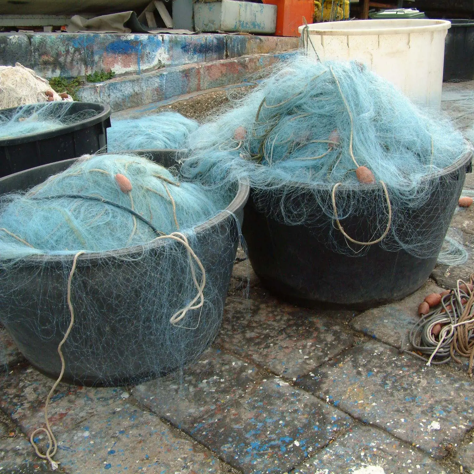 Pesca, presentata la piattaforma di rinnovo