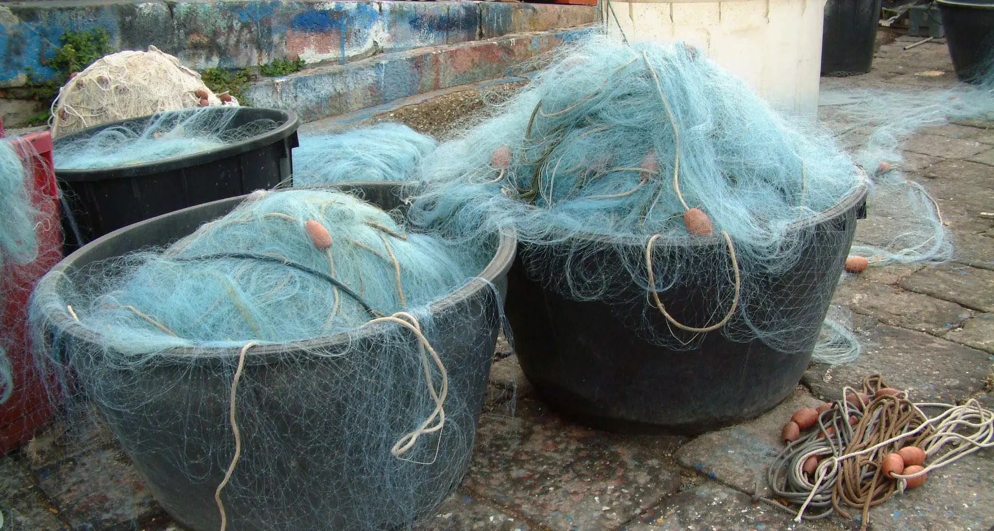 Pesca, presentata la piattaforma di rinnovo