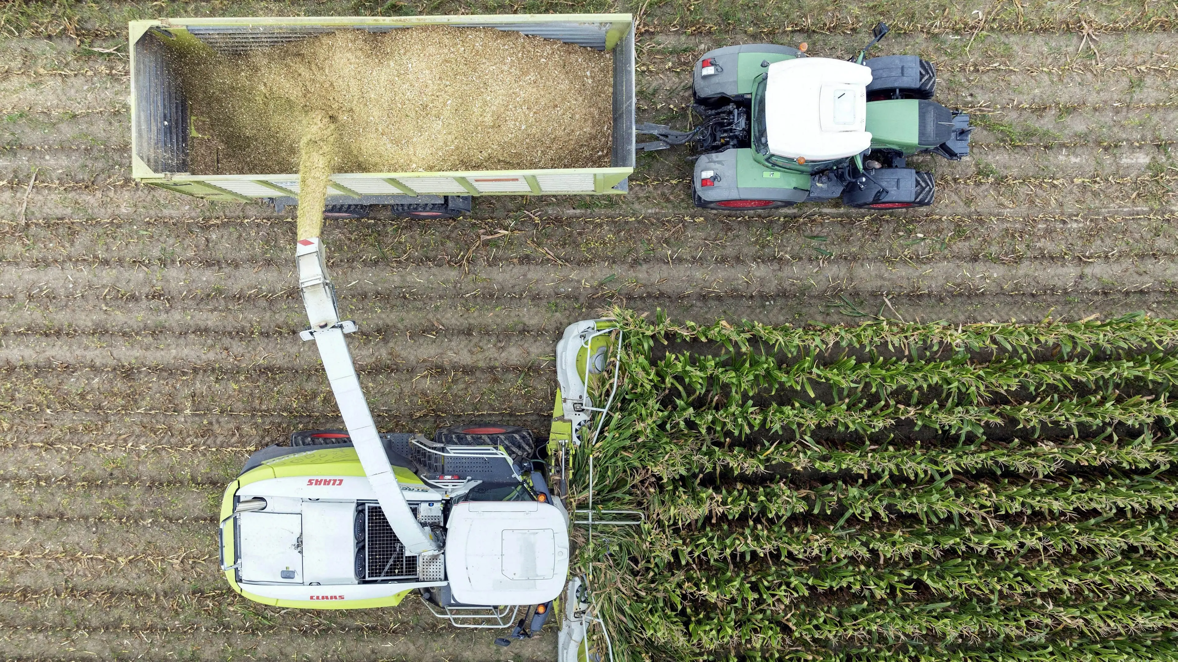 L’Europa, il Mercosur e la giravolta di Meloni