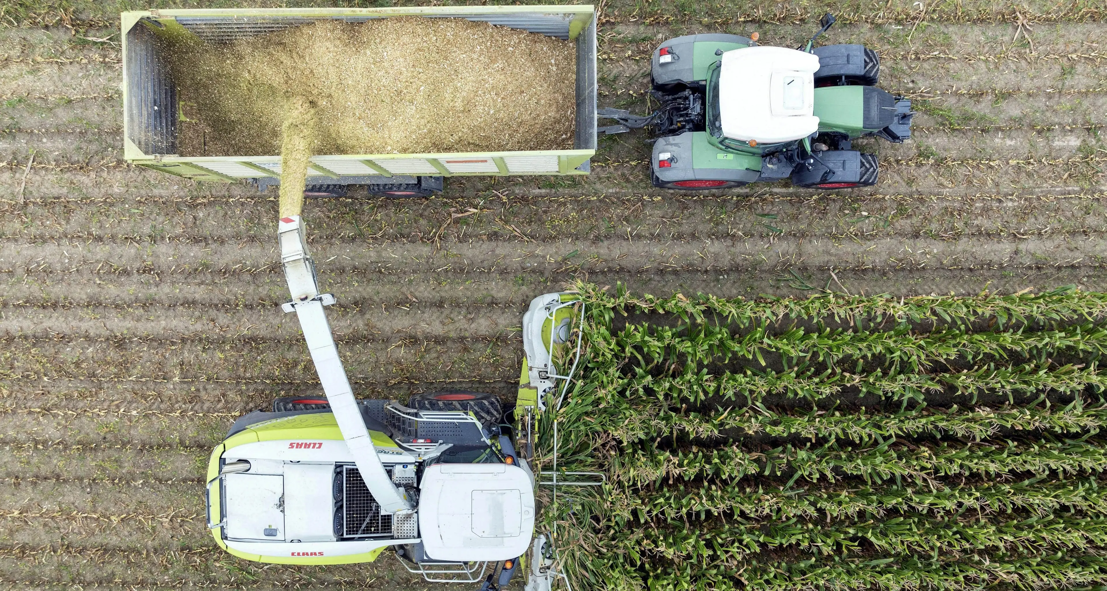 L’Europa, il Mercosur e la giravolta di Meloni