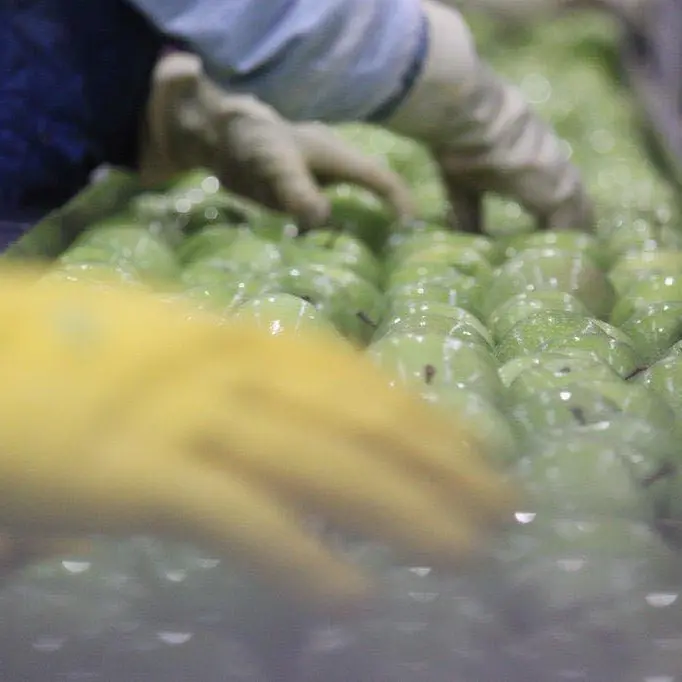 Industria in crisi: il Paese non ha una guida