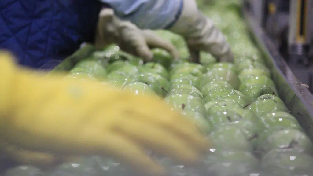 Industria in crisi: il Paese non ha una guida