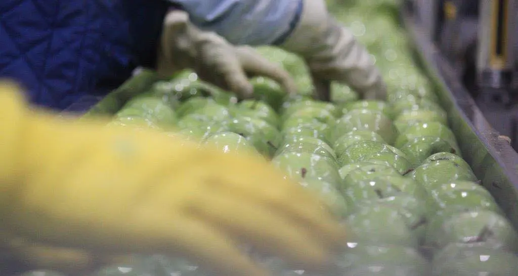 Industria in crisi: il Paese non ha una guida