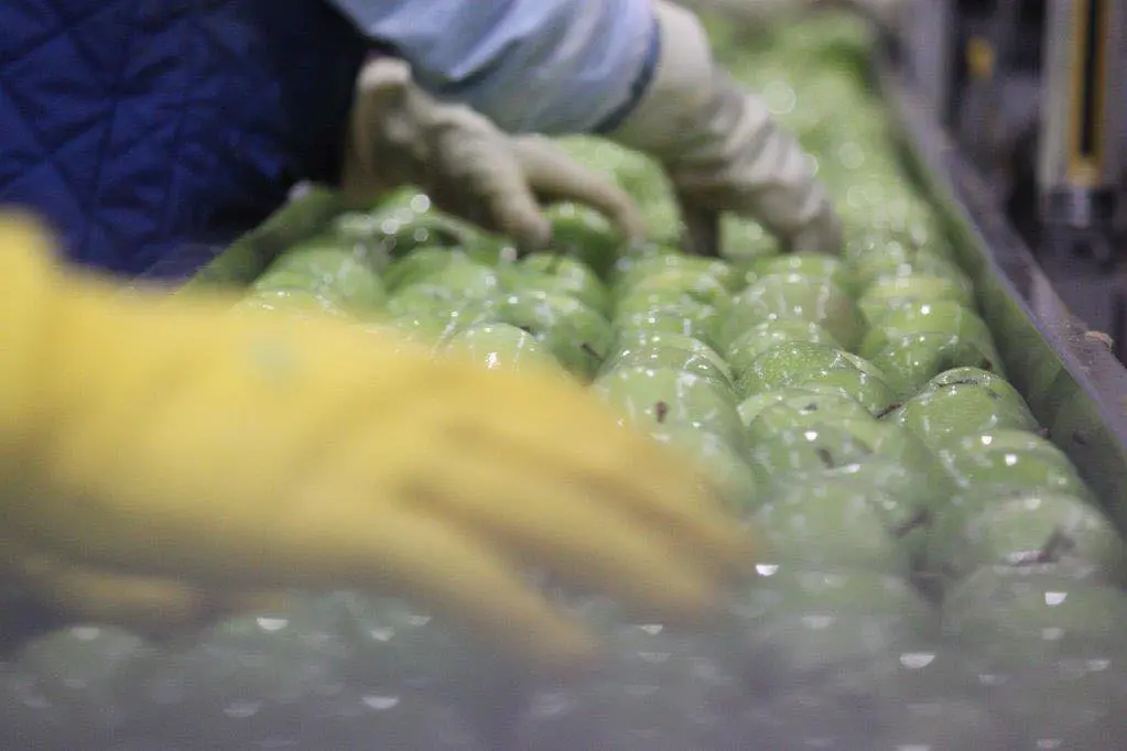 Industria in crisi: il Paese non ha una guida