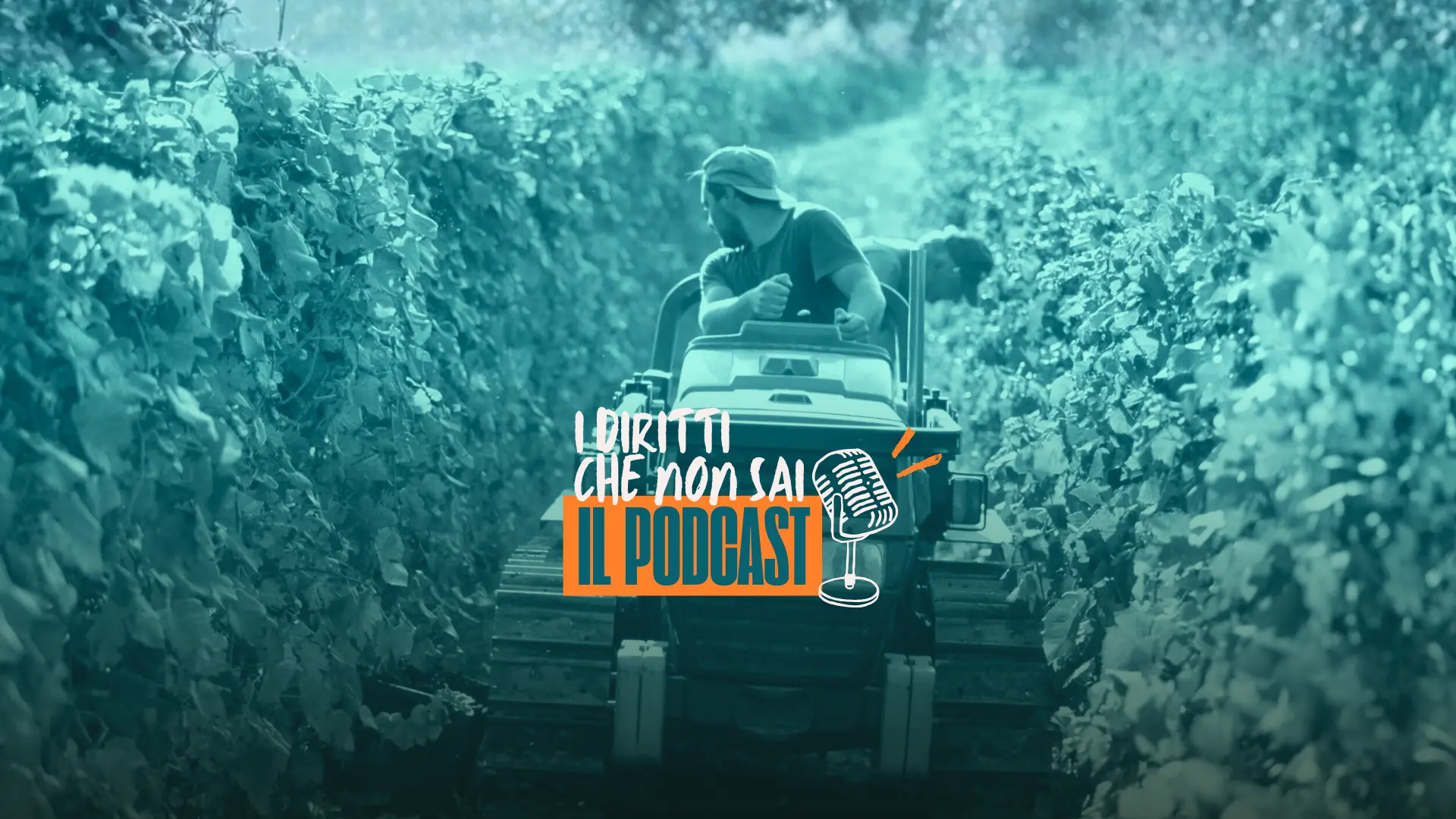 Disoccupazione agricola: a chi spetta e cosa fare