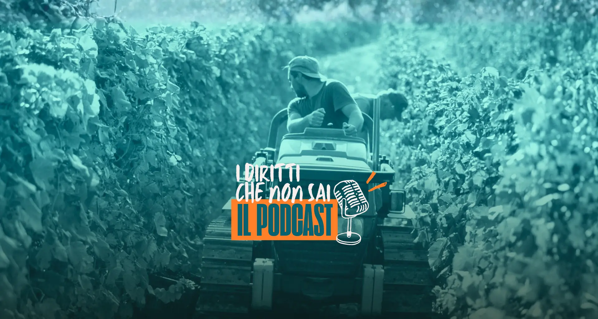 Disoccupazione agricola: a chi spetta e cosa fare