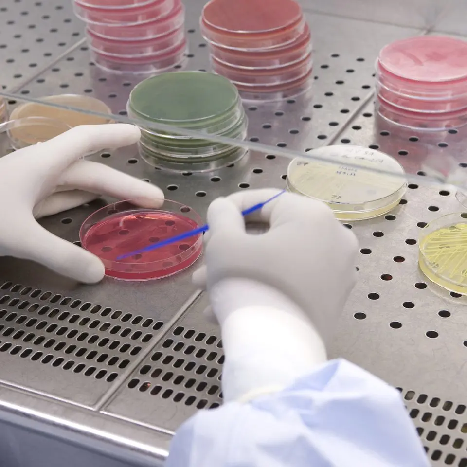 Special Product’s Line, Filctem nettamente primo sindacato