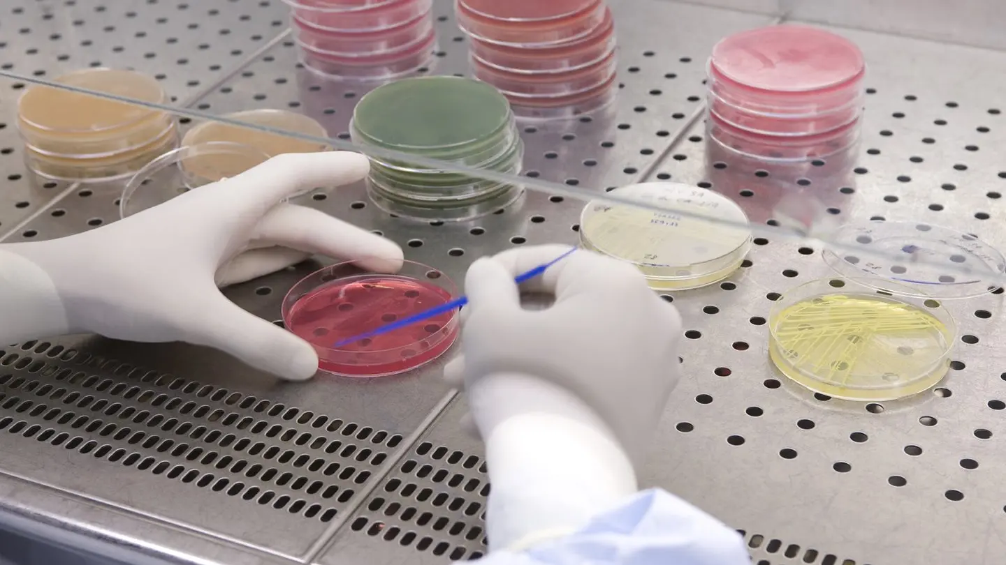 Special Product’s Line, Filctem nettamente primo sindacato