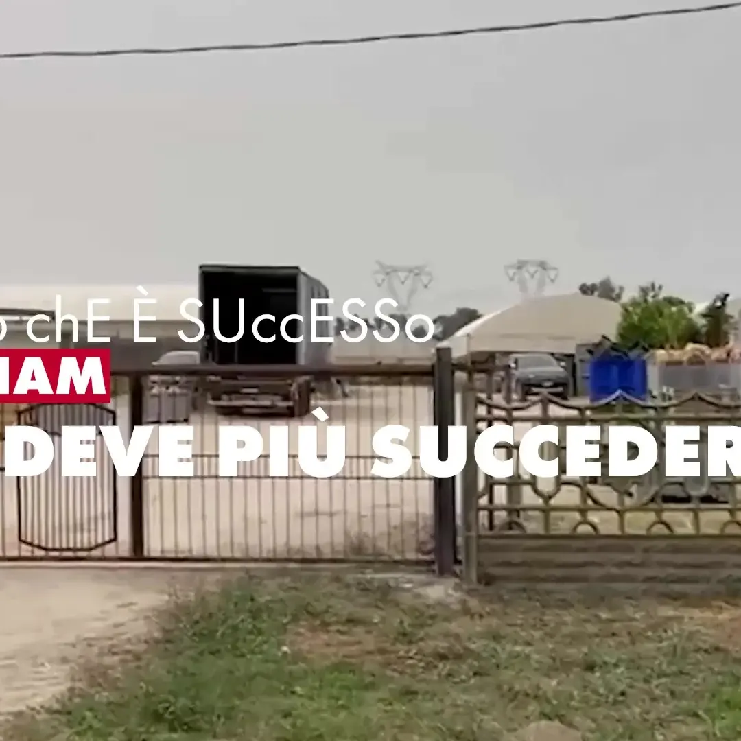 Work in progress – Stagione 5 Puntata 23