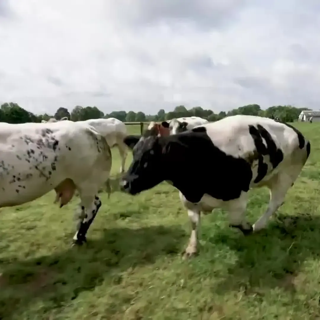 Work in progress – Stagione 5 Puntata 33