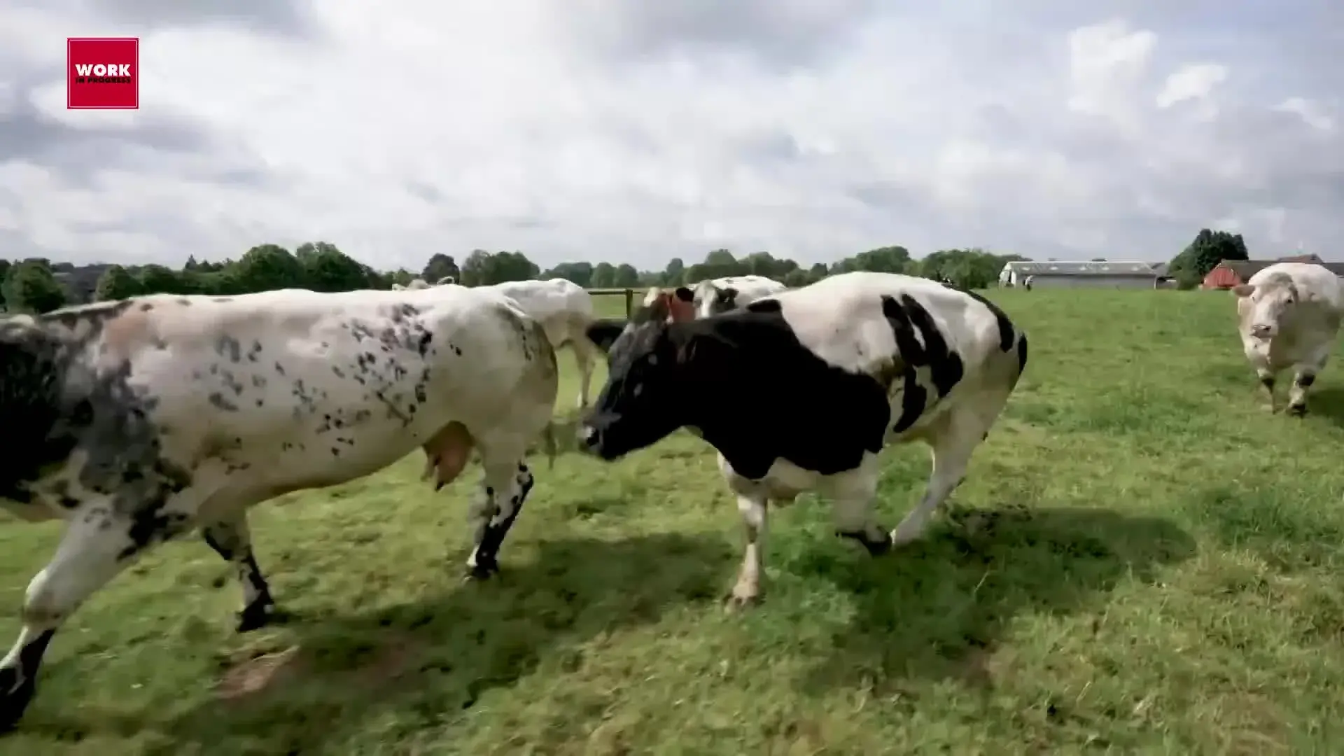 Work in progress – Stagione 5 Puntata 33