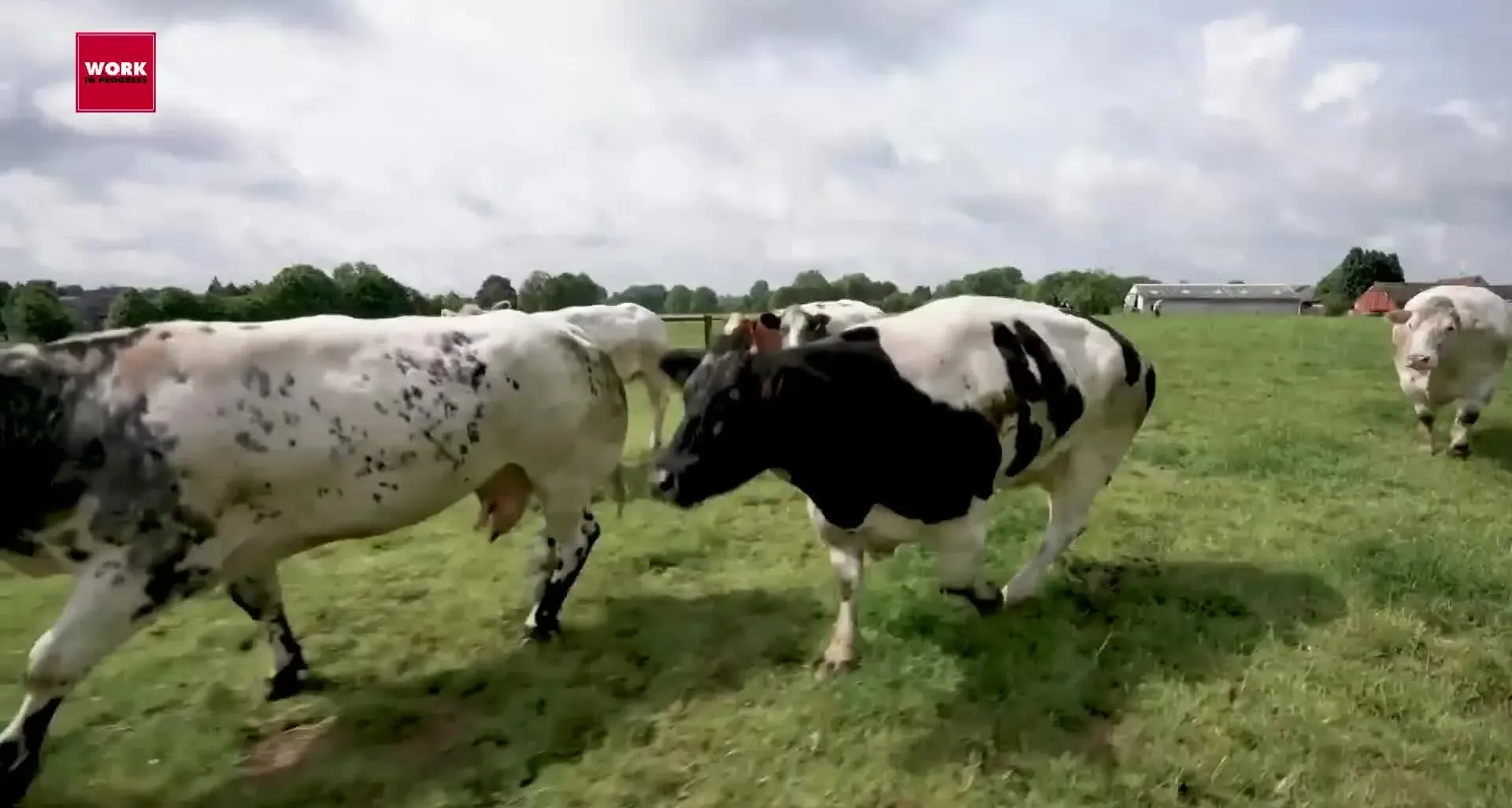 Work in progress – Stagione 5 Puntata 33