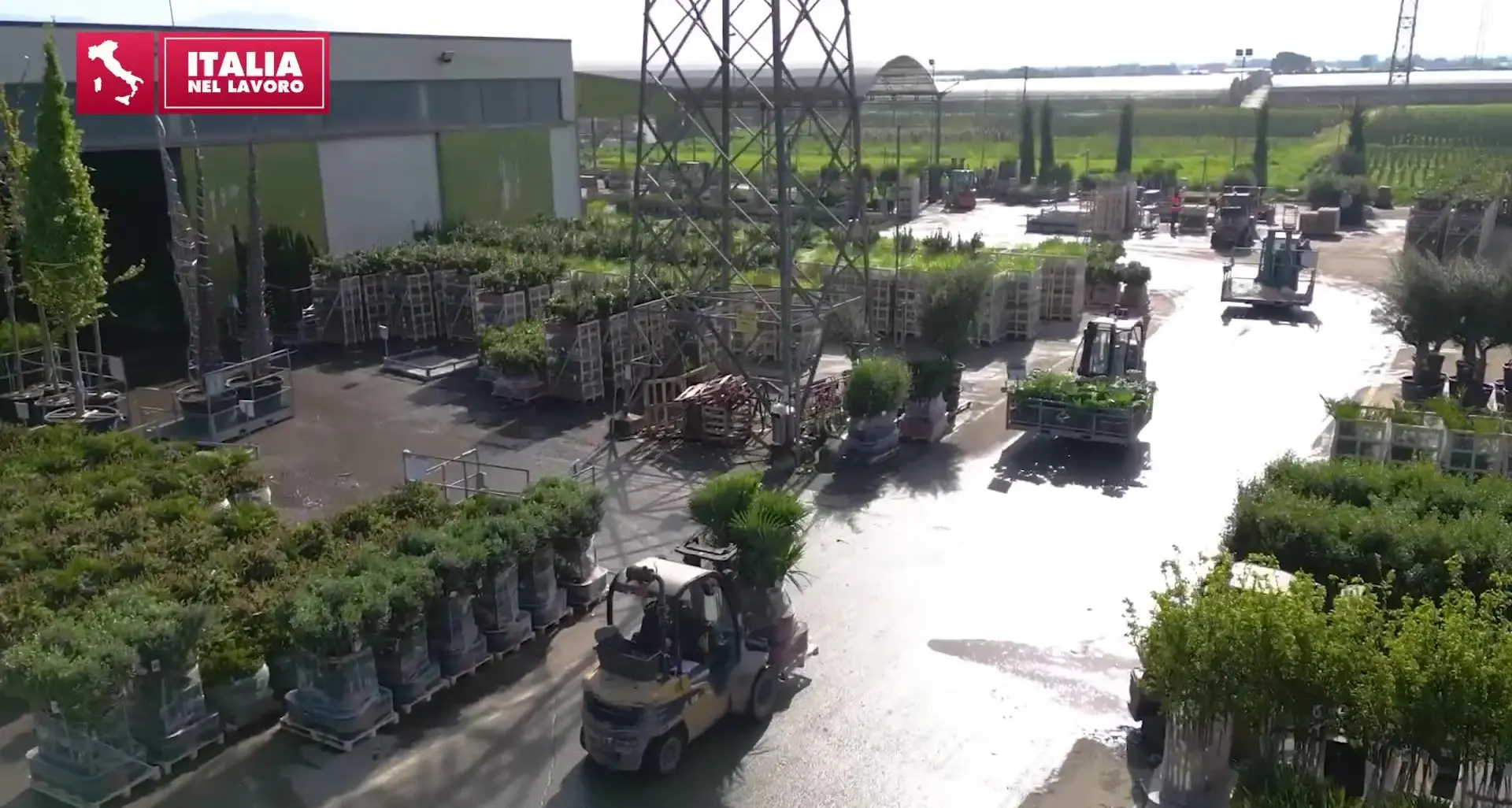 L’Italia nel Lavoro – Stagione 2 Puntata 15