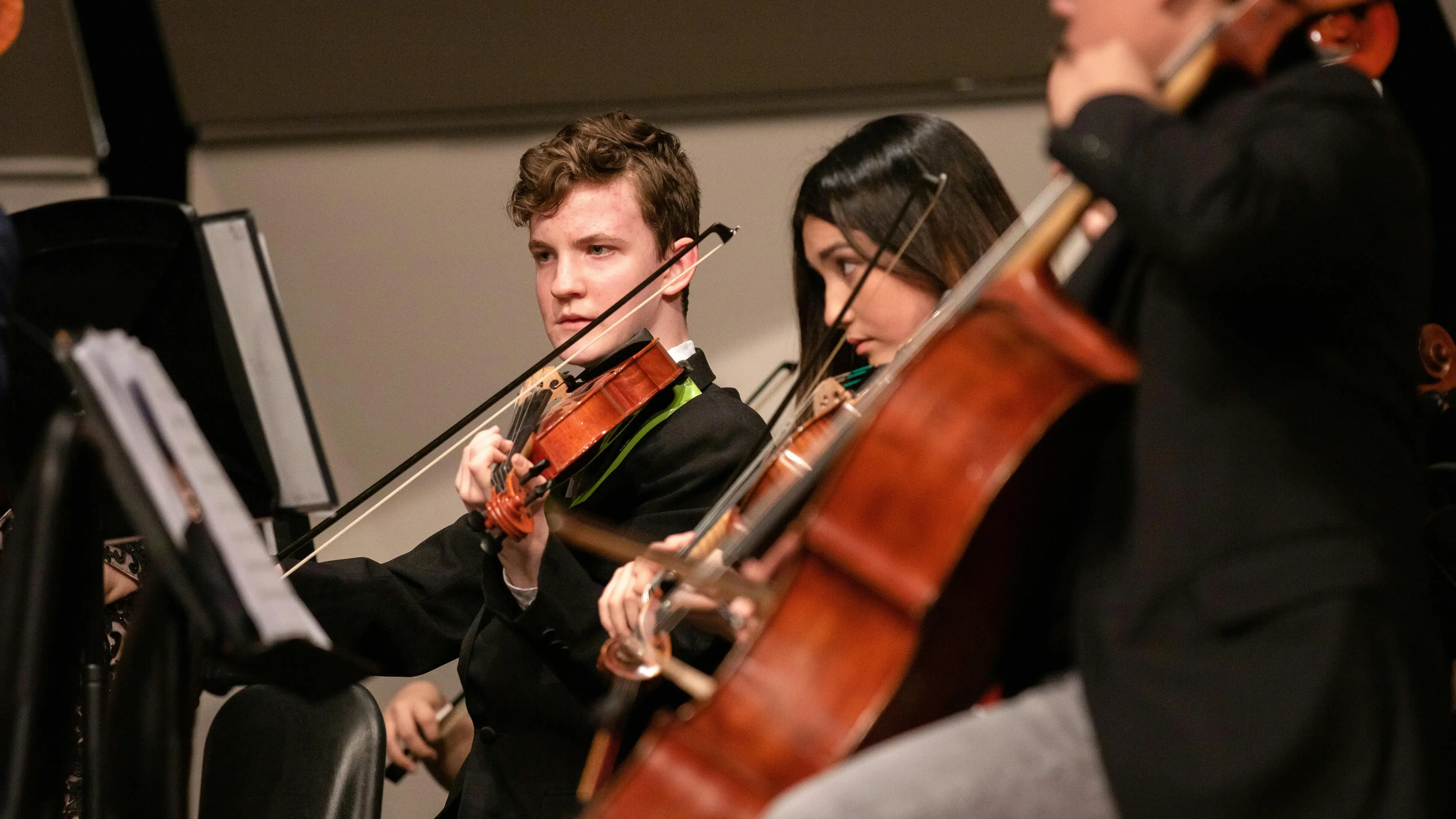 Roxanne Minnish, pexels.com