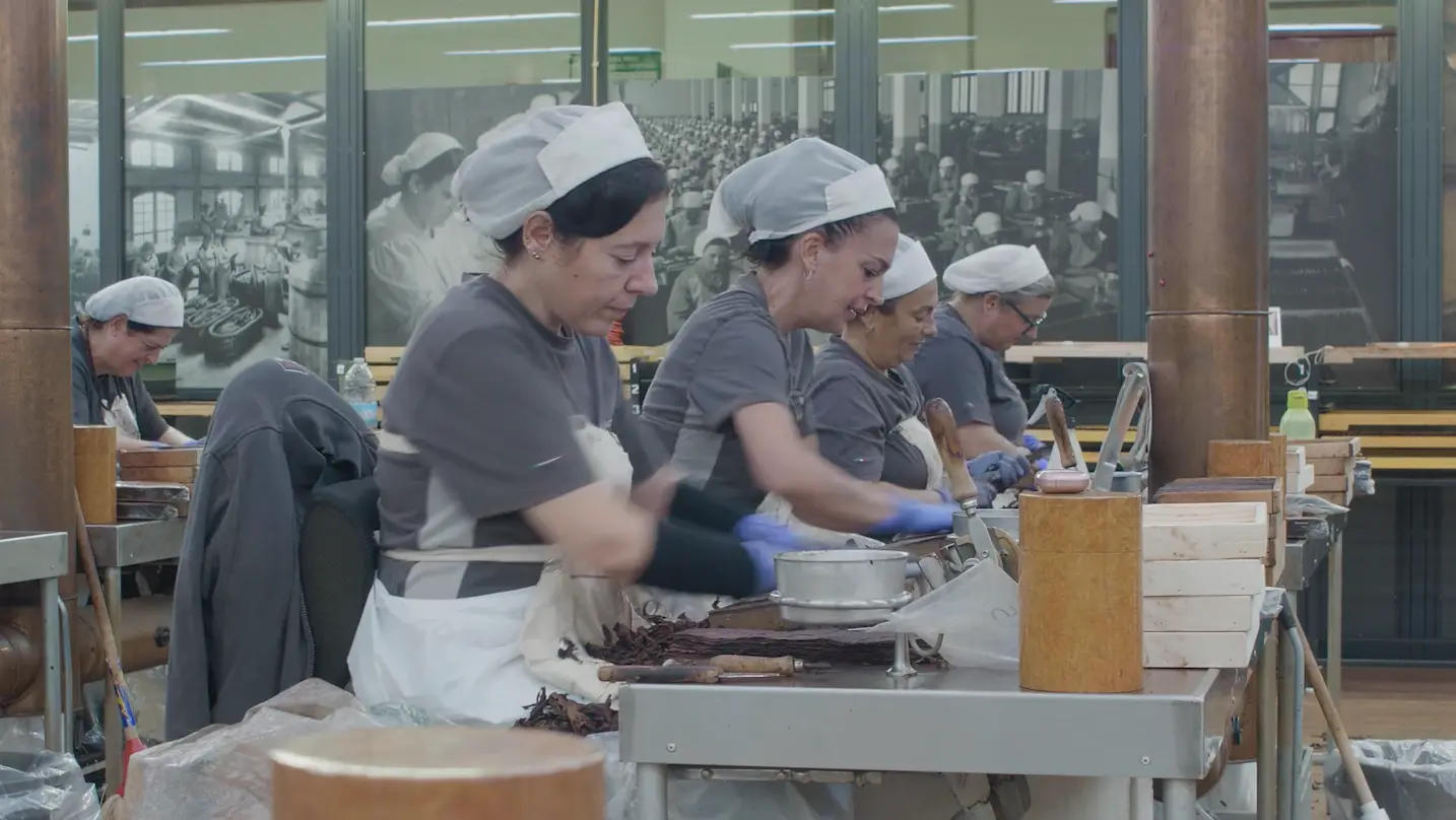 The Last Puff, la transizione nel settore del tabacco