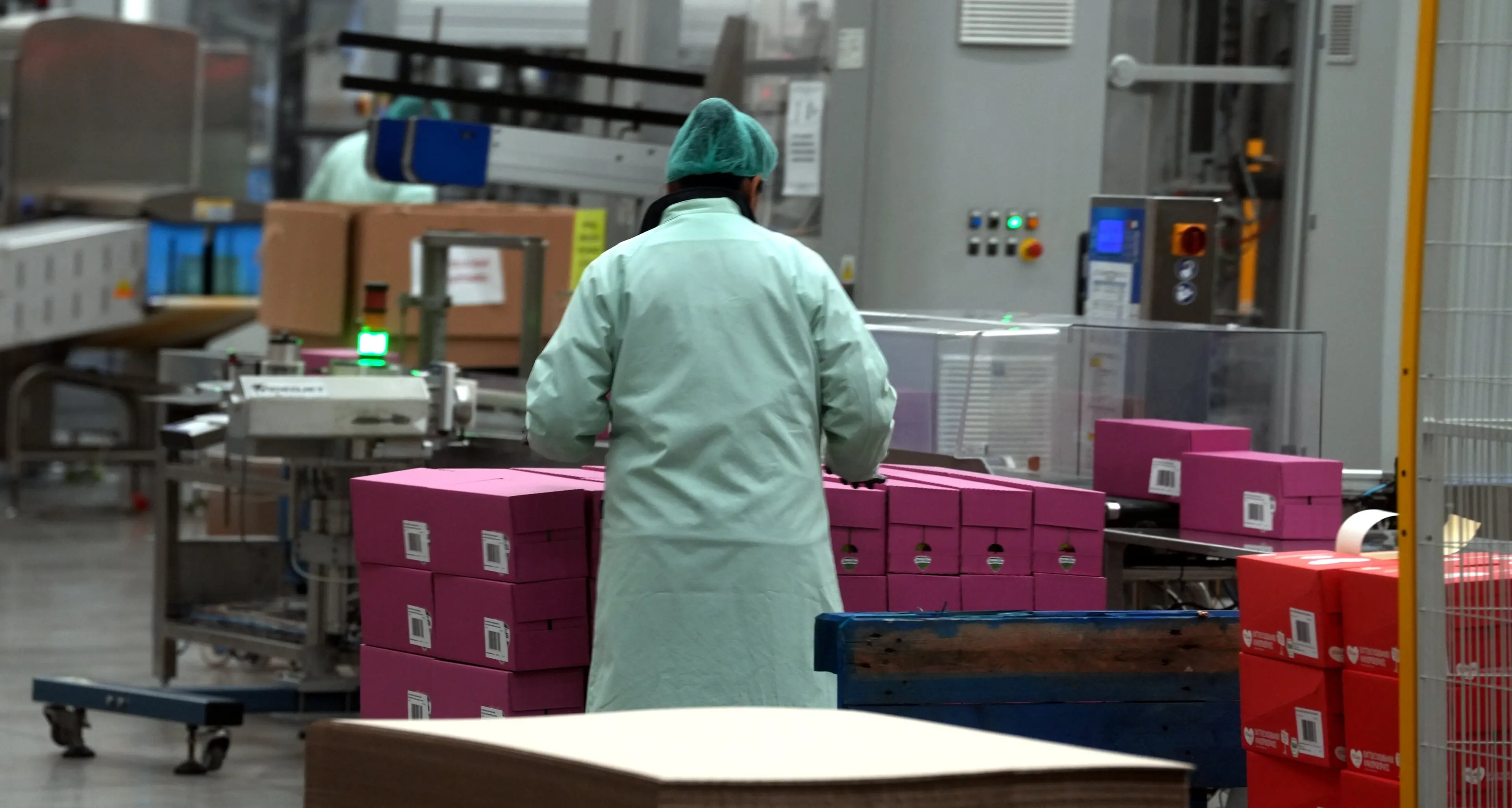 Industria, il 2025 chiude in calo: produzione a -0,2%