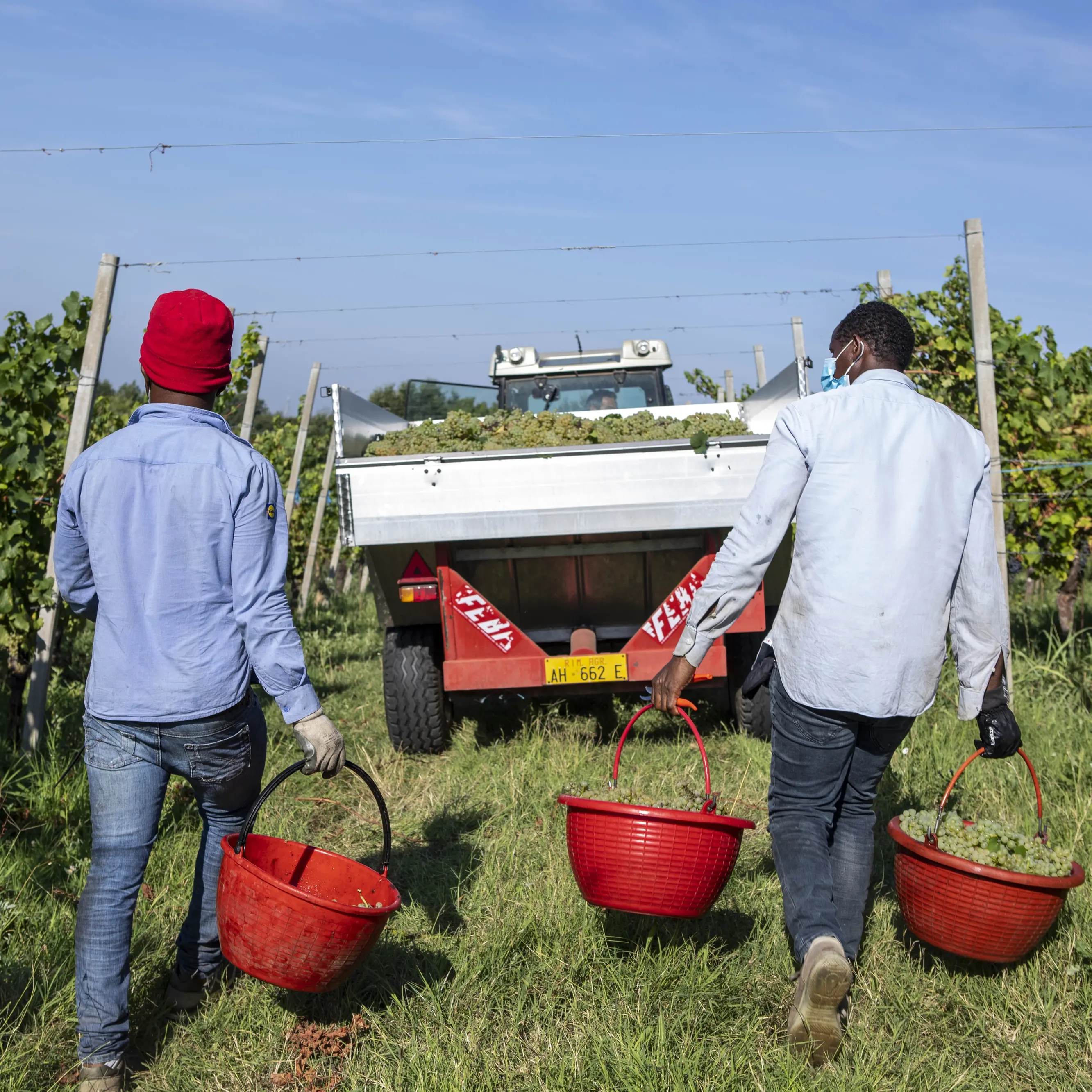 Lavoro, quasi un’assunzione su quattro parla straniero