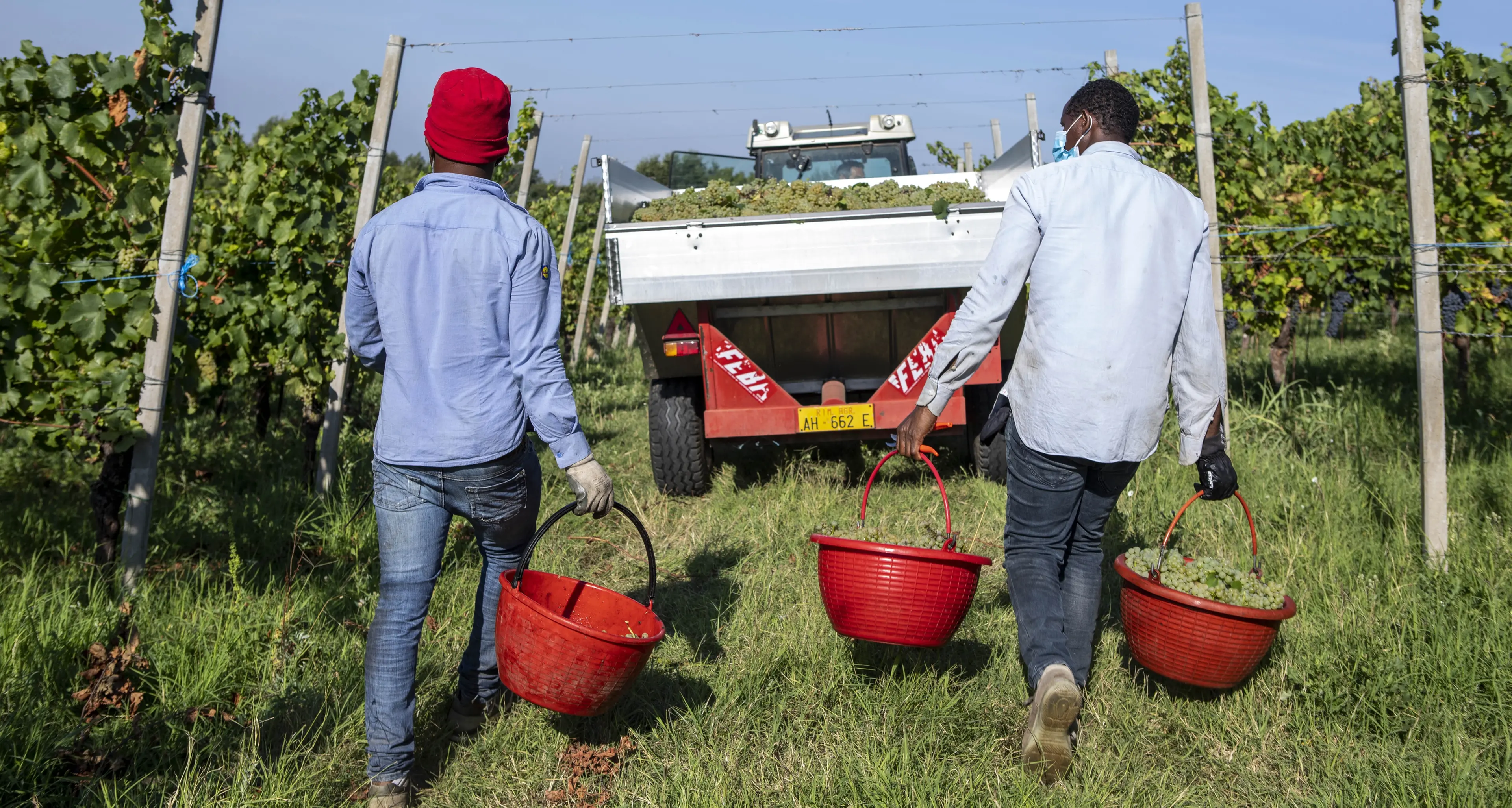 Lavoro, quasi un’assunzione su quattro parla straniero