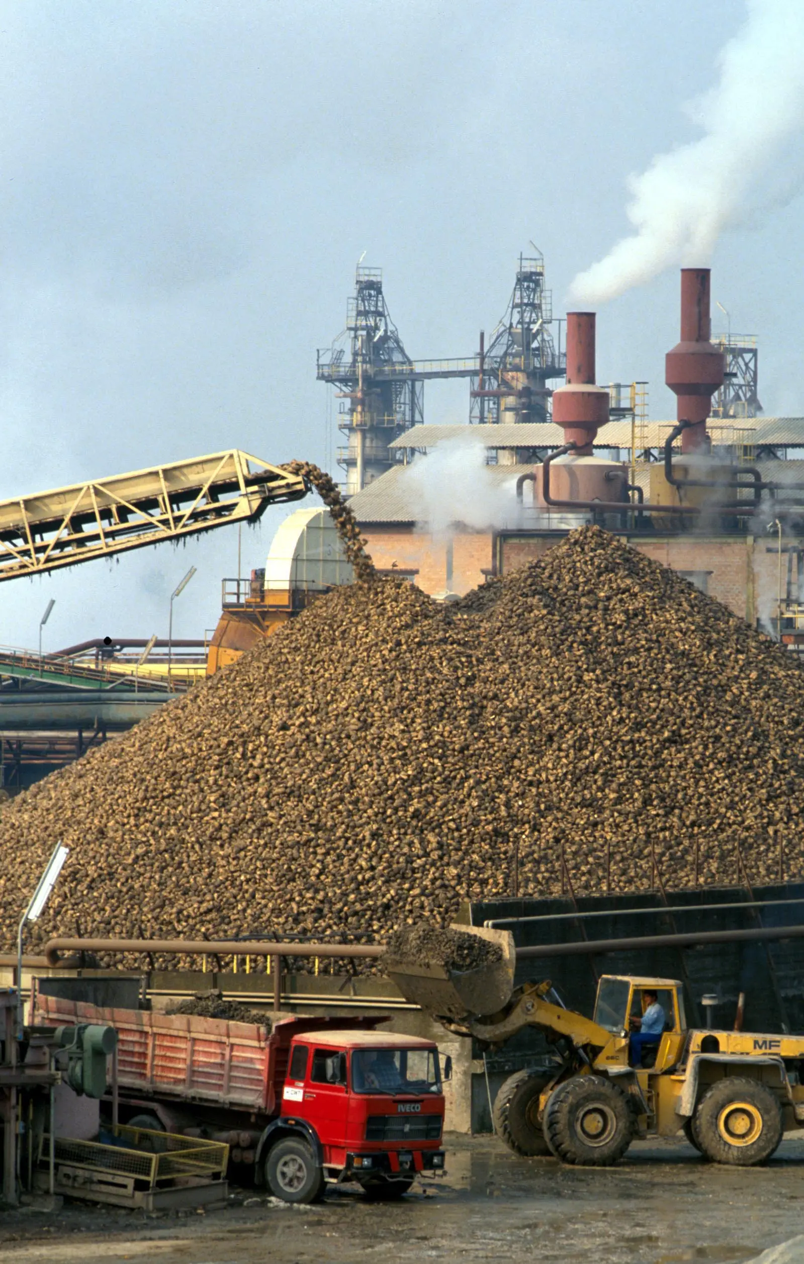 ZUCCHERIFICIO ERIDANIA FOTO DI © LUCA GAVAGNA/AG.SINTESI