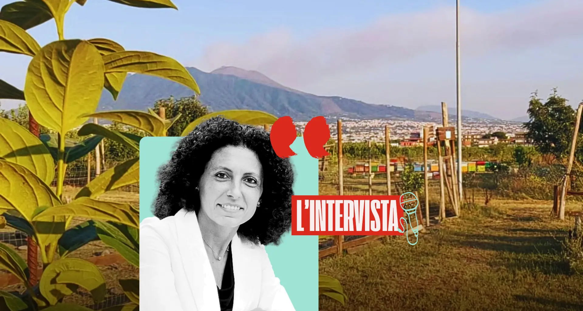 Il lavoro dignitoso nei beni confiscati restituisce legalità al territorio