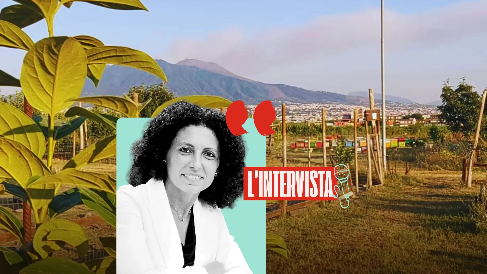 Il lavoro dignitoso nei beni confiscati restituisce legalità al territorio