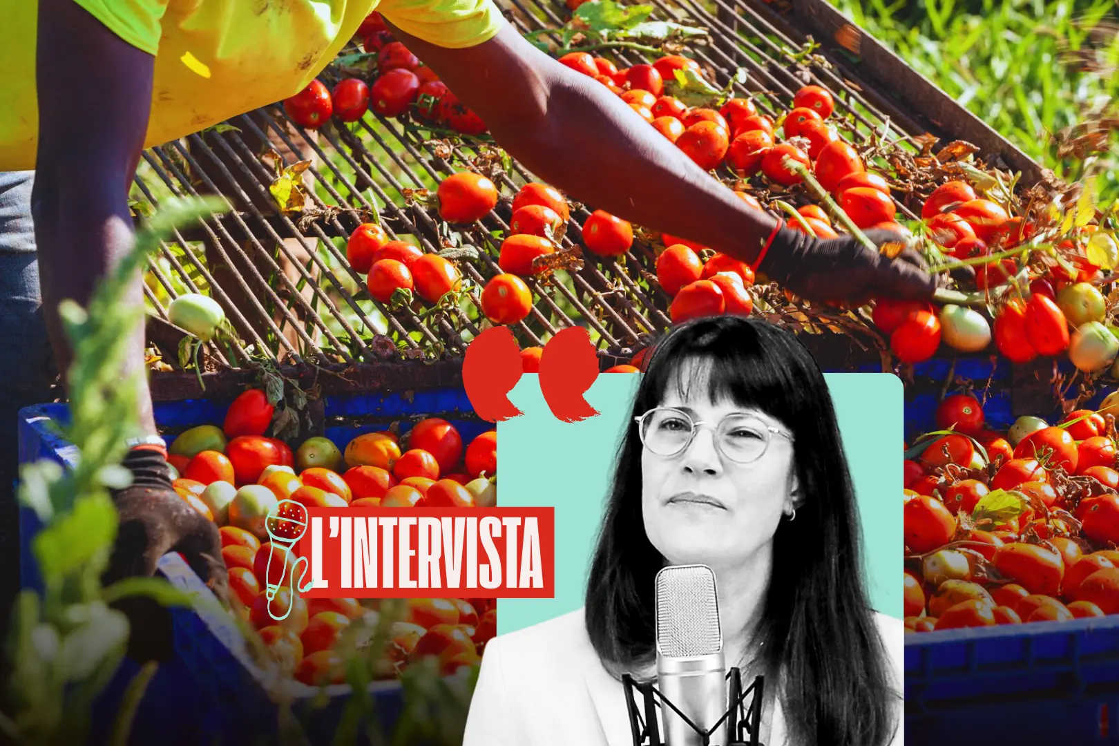 Una class action per liberare gli stagionali dalla schiavitù