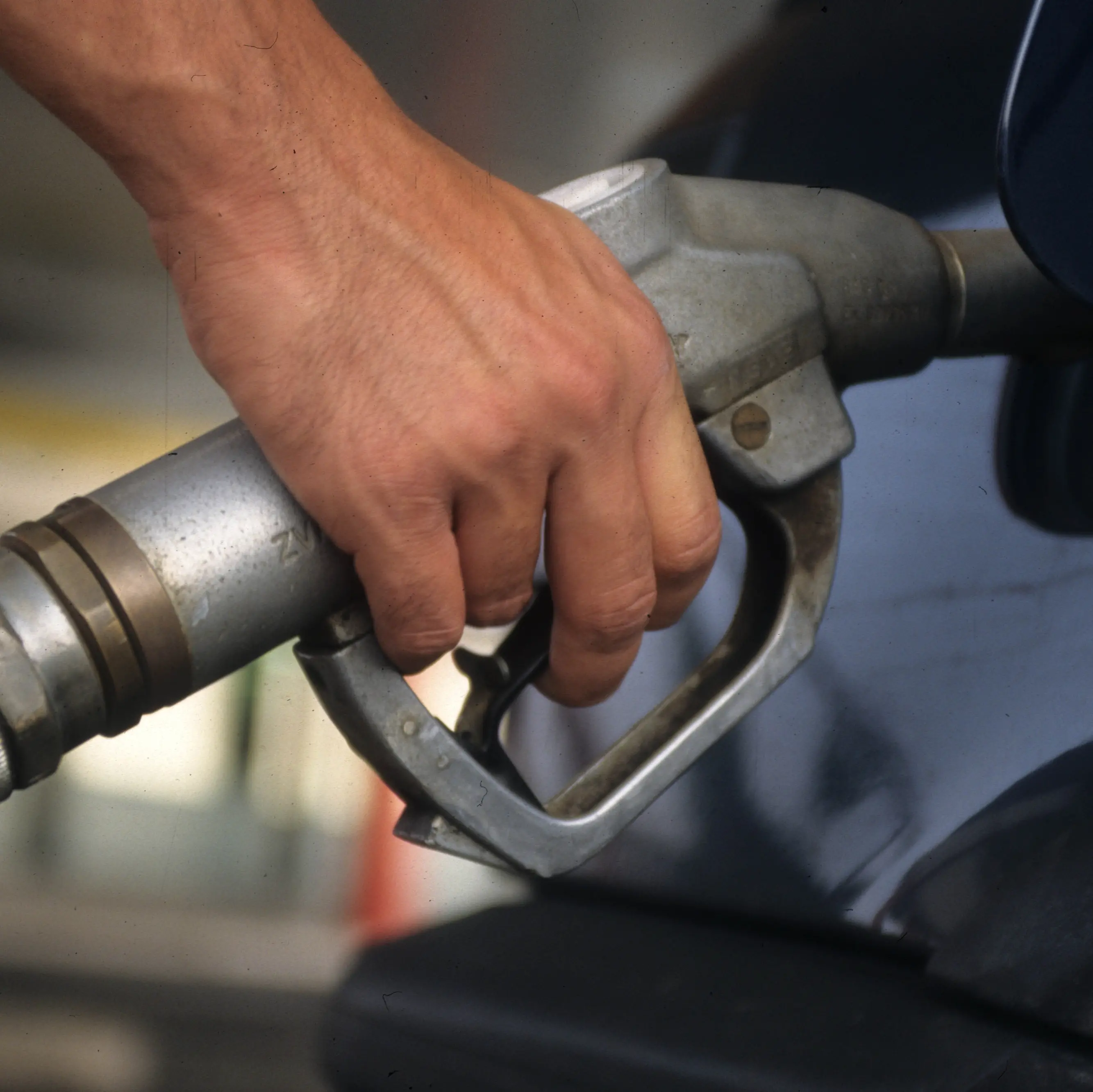 Venti giorni non bastano per il taglio