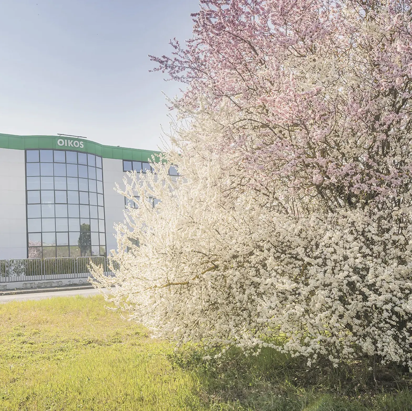 Oikos, intesa con l’azienda: uscite solo volontarie