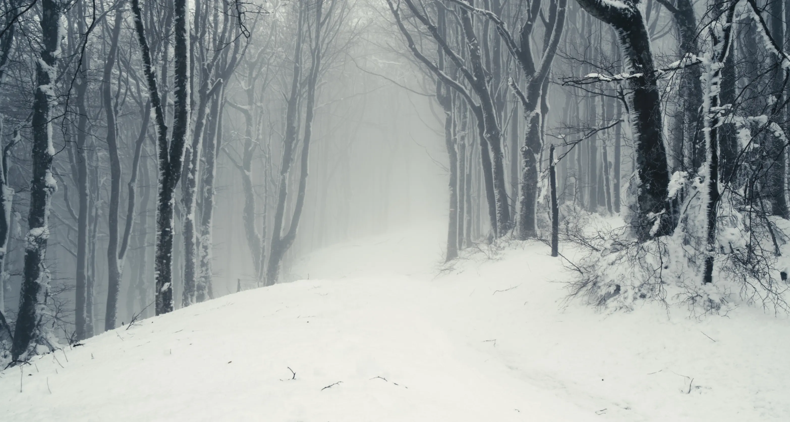 “Avevo due paure”, il doc al cinema per il 25 aprile