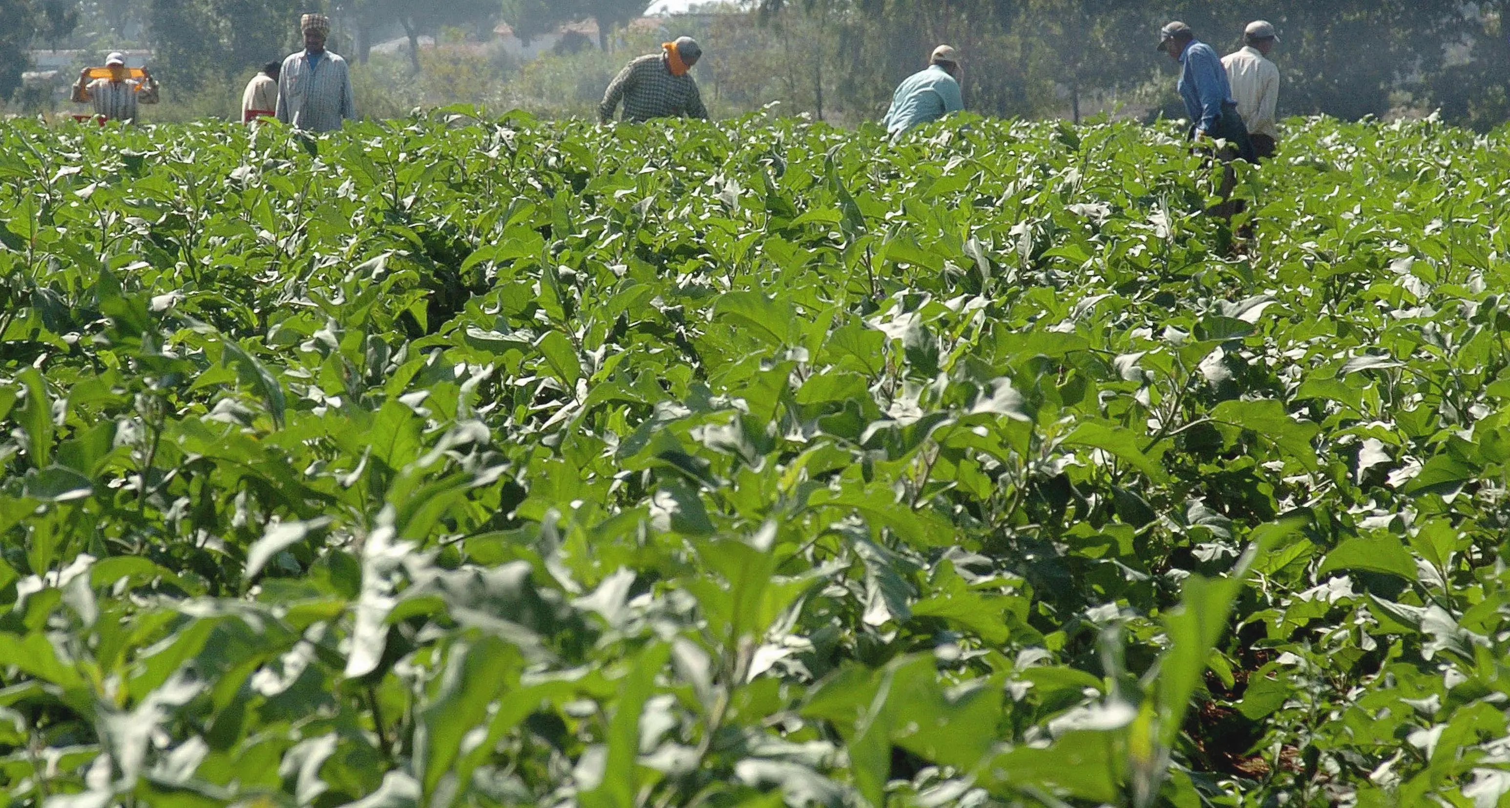 Orrore a Salerno, abbandonato con le gambe in cancrena