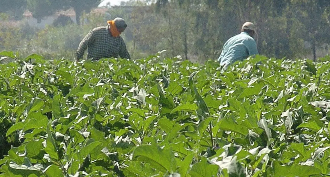 Orrore a Salerno, abbandonato con le gambe in cancrena