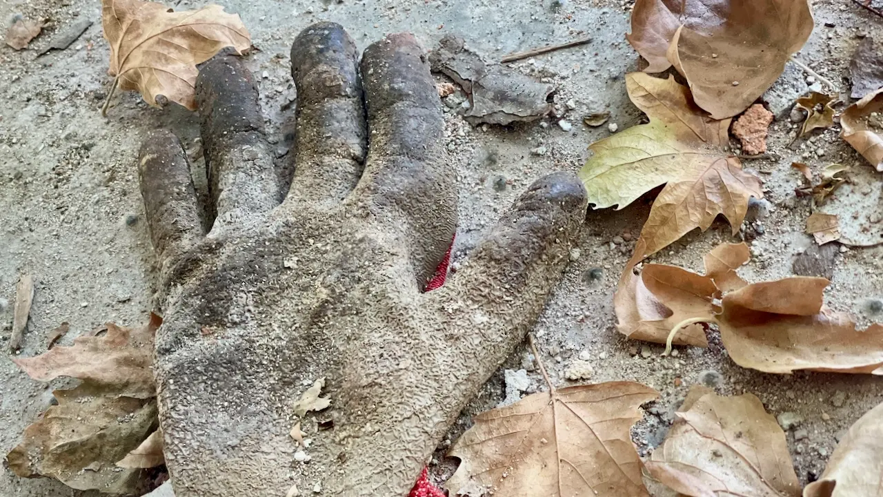 Allarme Anac: “Oltre mille morti nel 2025, una ferita aperta”