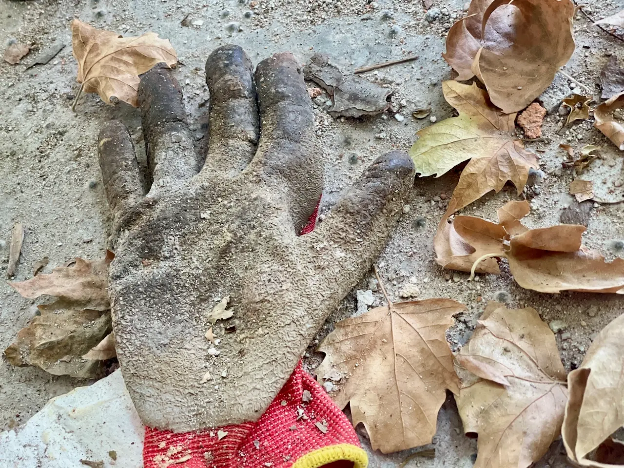 Allarme Anac: “Oltre mille morti nel 2025, una ferita aperta”