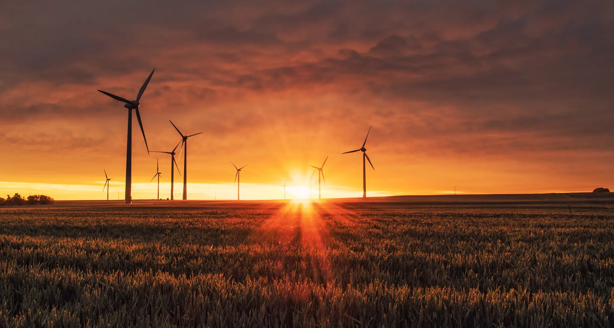 Una transizione rispettosa dei lavoratori e delle comunità