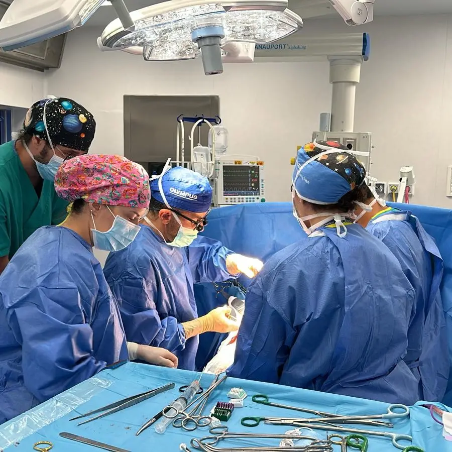 Sanità, la Corte dei Conti certifica il fallimento del governo Meloni