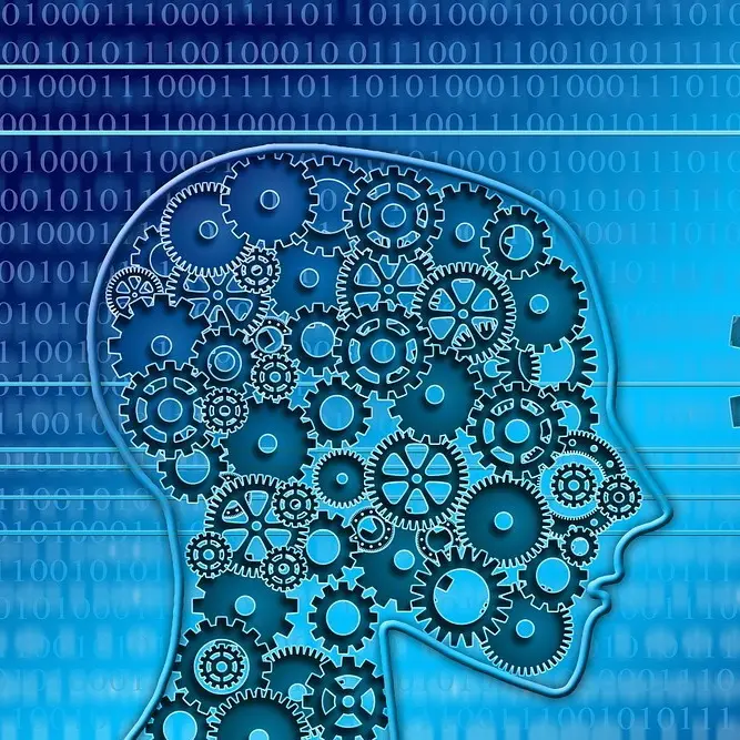 Cresce l’utilizzo della tecnologia, ora servono le competenze