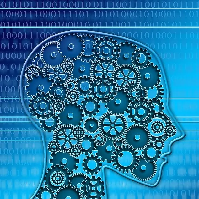Cresce l’uso della tecnologia, ora servono le competenze