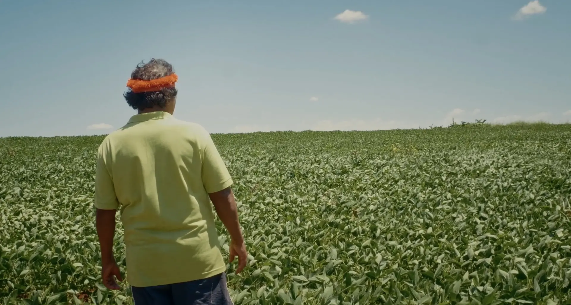 “Green is the new red”, la guerra verde contro i contadini