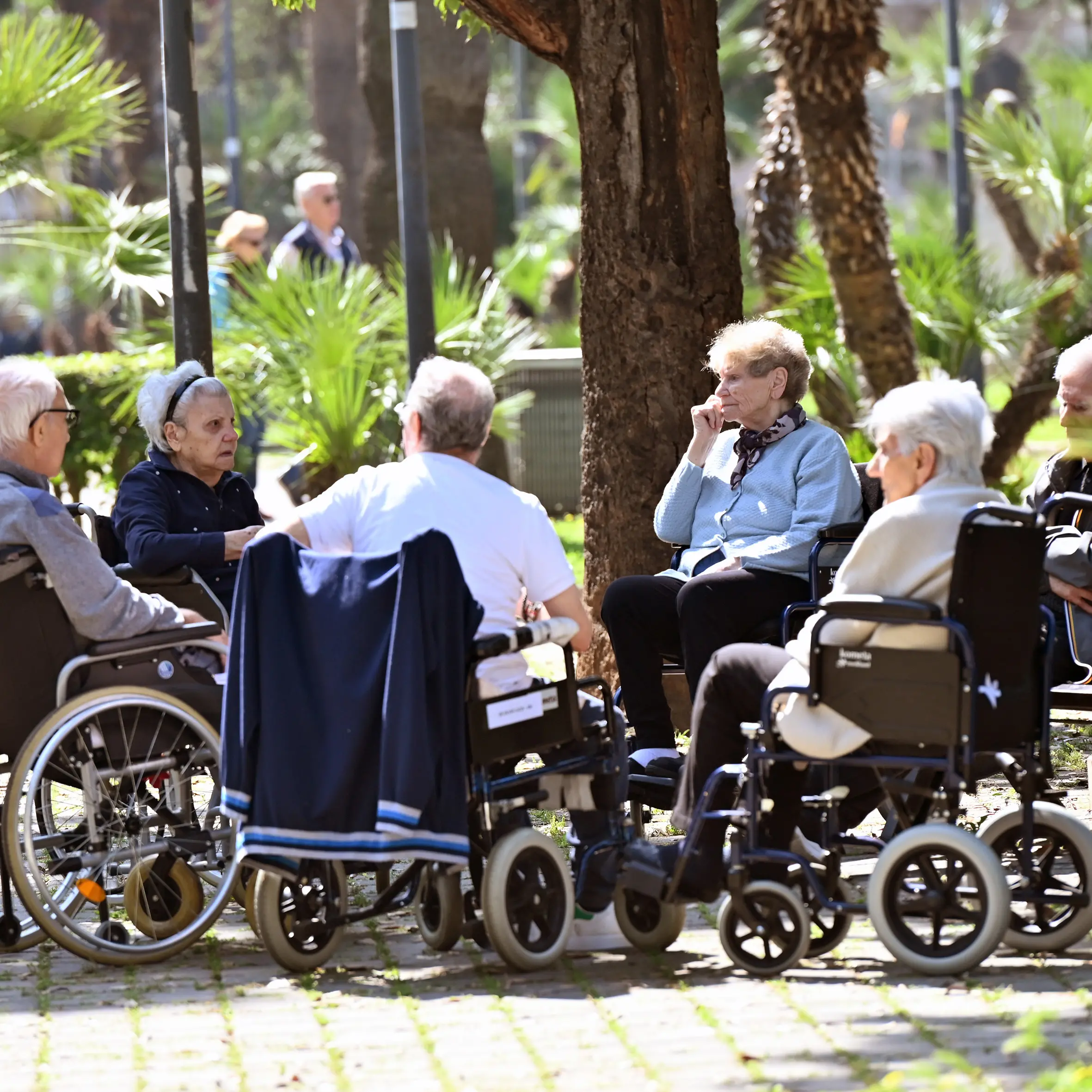 Disabilità, la riforma alla prova dei territori