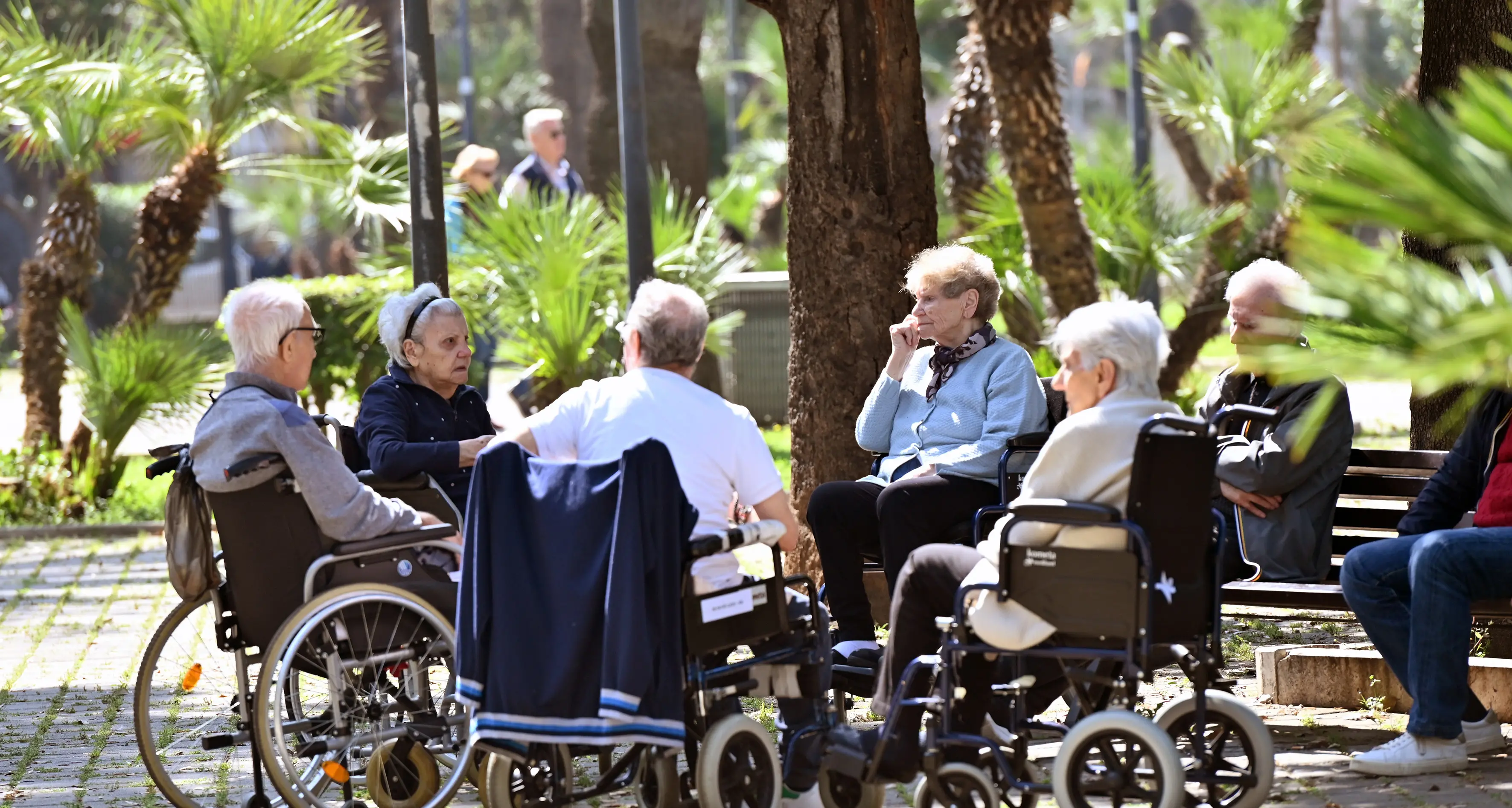 Disabilità, la riforma alla prova dei territori