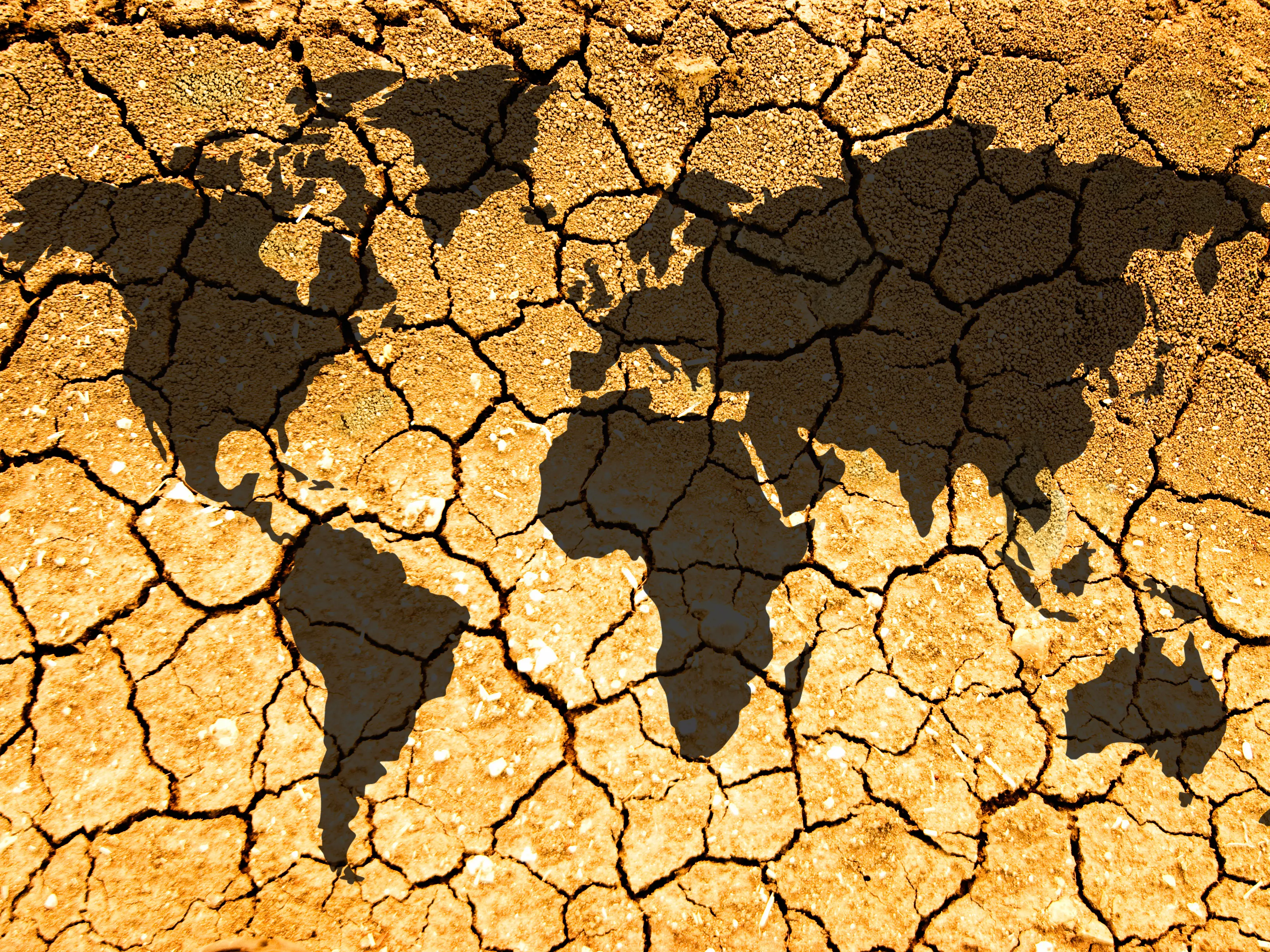 C’è ancora vita nel grembo di Madre Terra