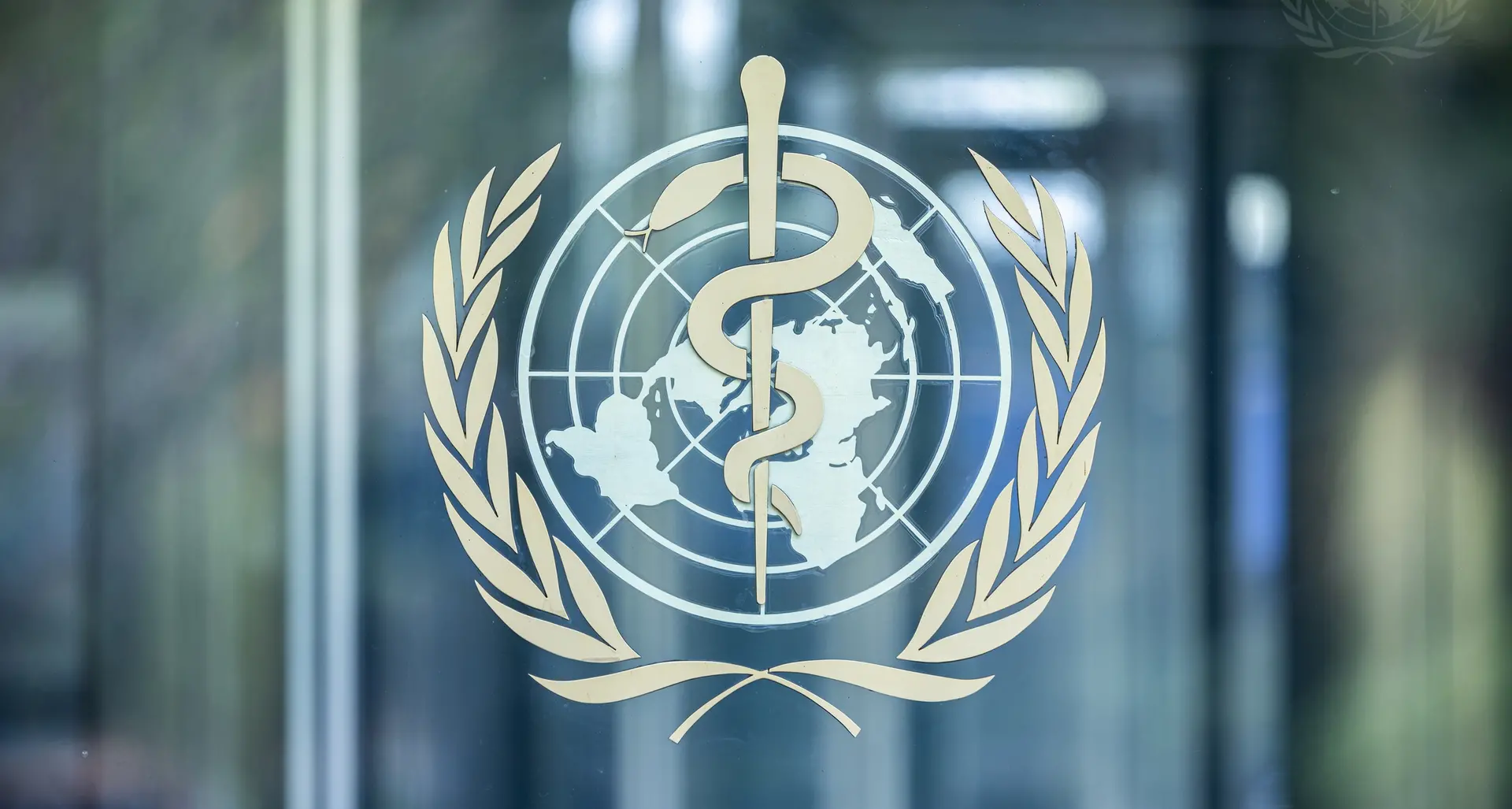 La crisi climatica sia classificata come emergenza sanitaria