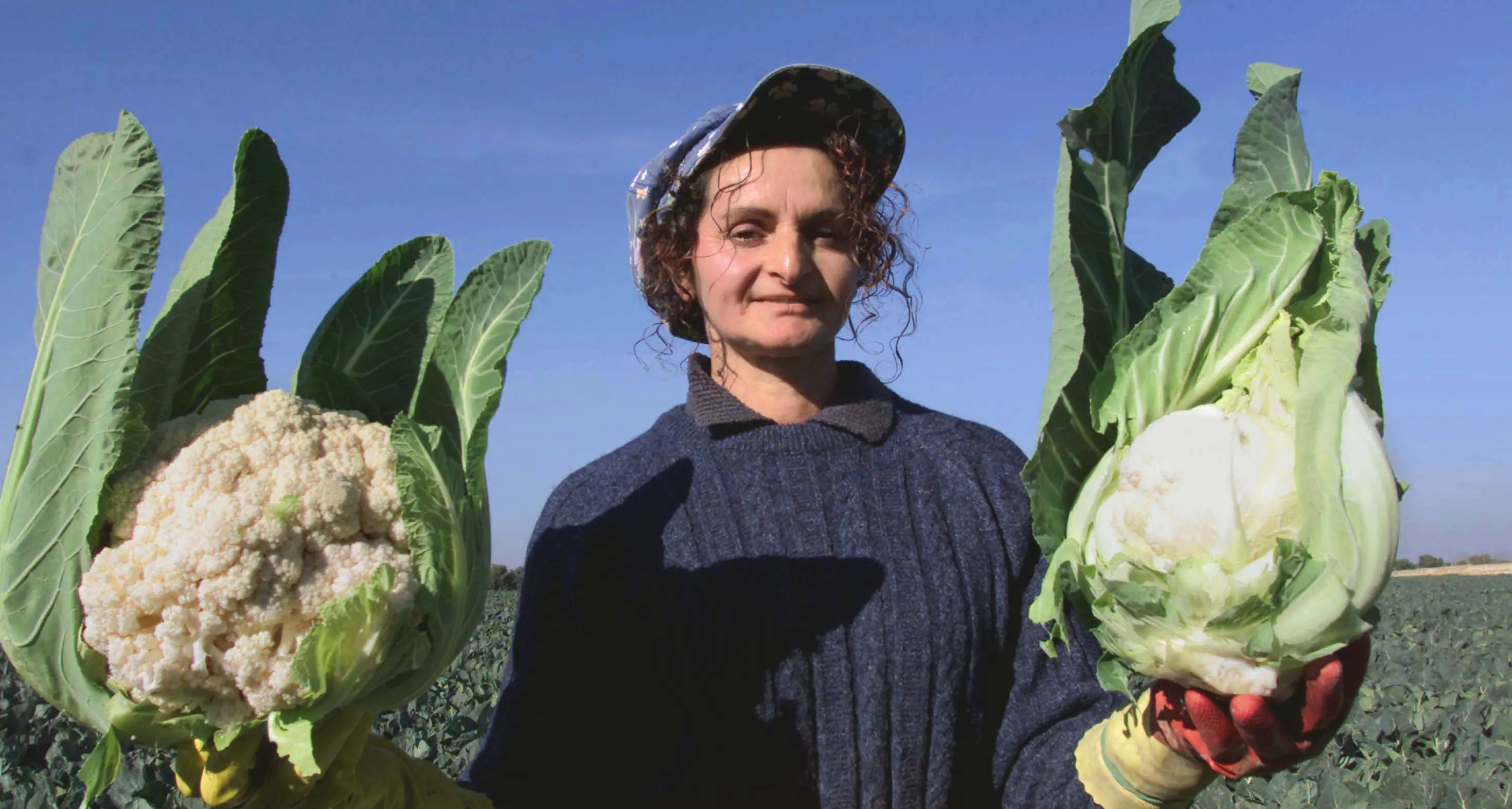 Rinnovo del contratto per un milione di agricoltori