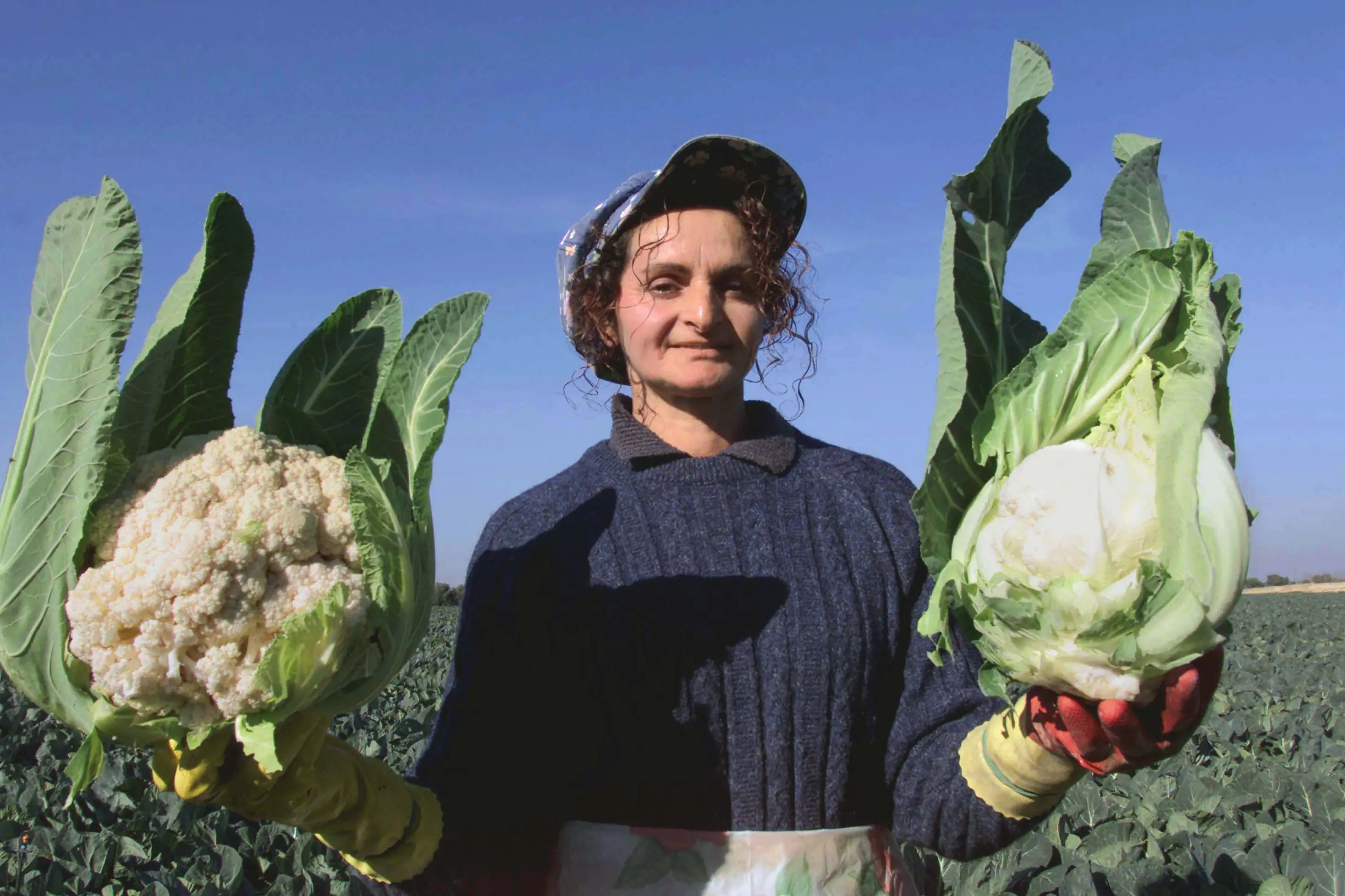 Rinnovo del contratto per un milione di agricoltori