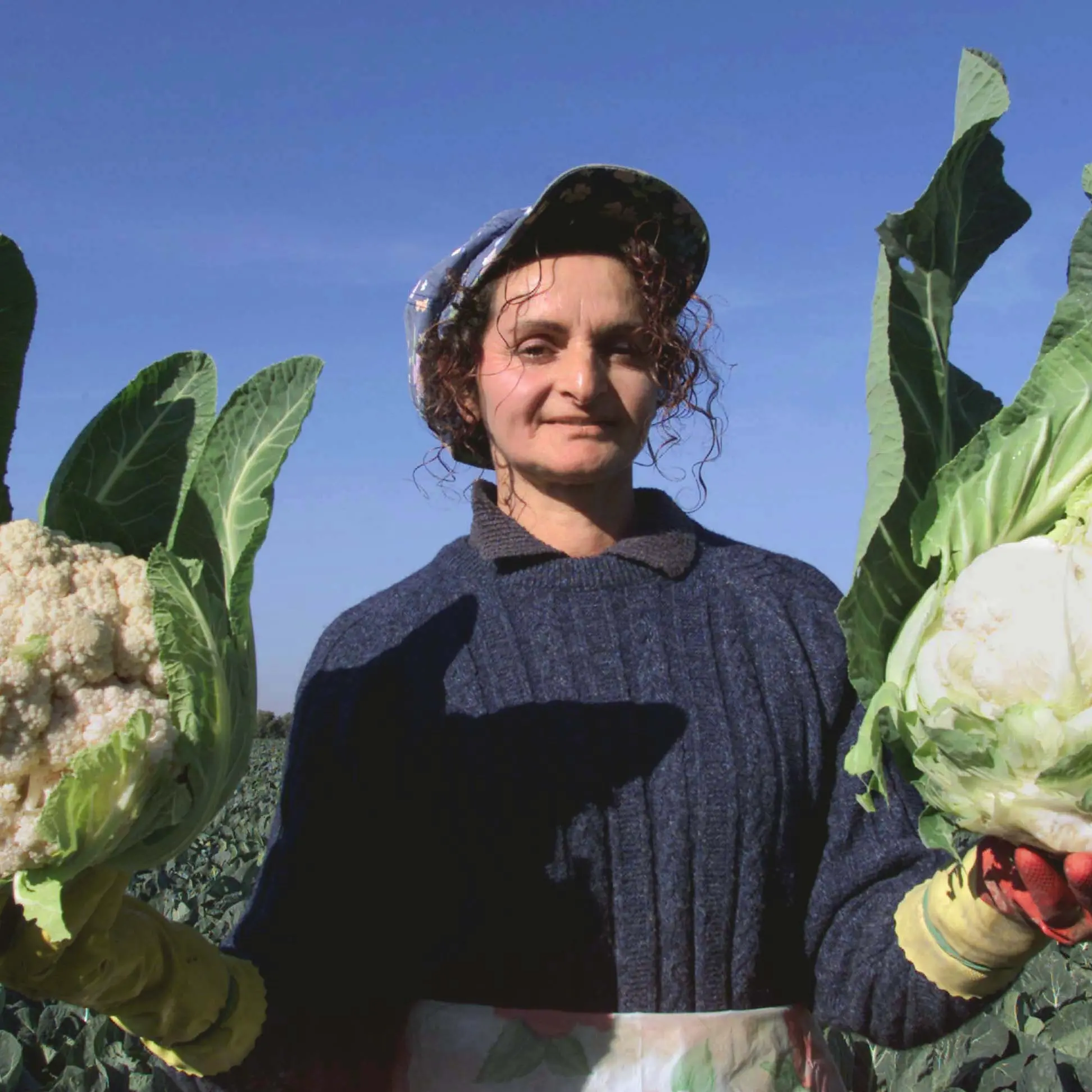 Rinnovo del contratto per un milione di operai agricoli
