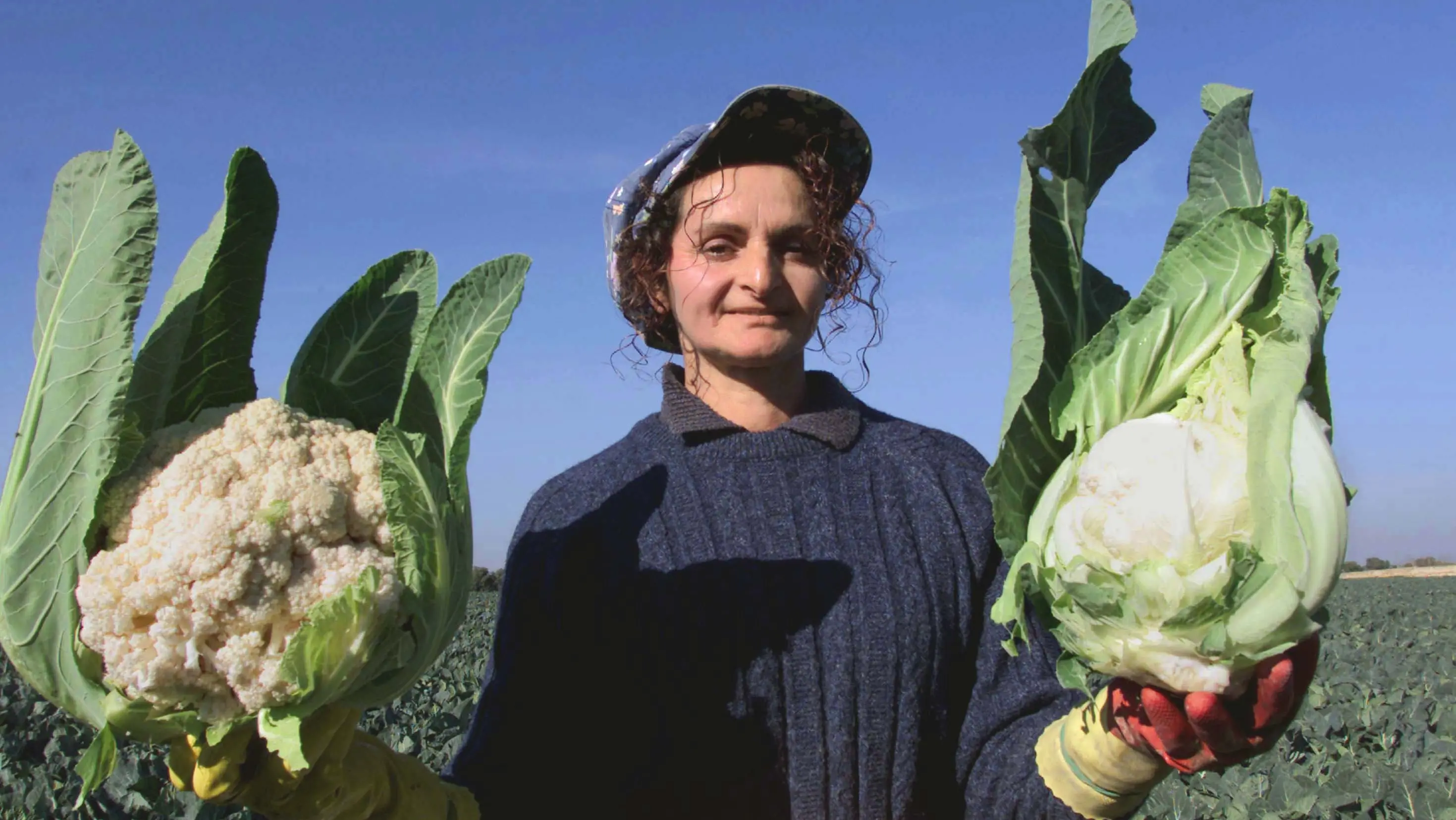 Un milione di operai agricoli, ecco il rinnovo