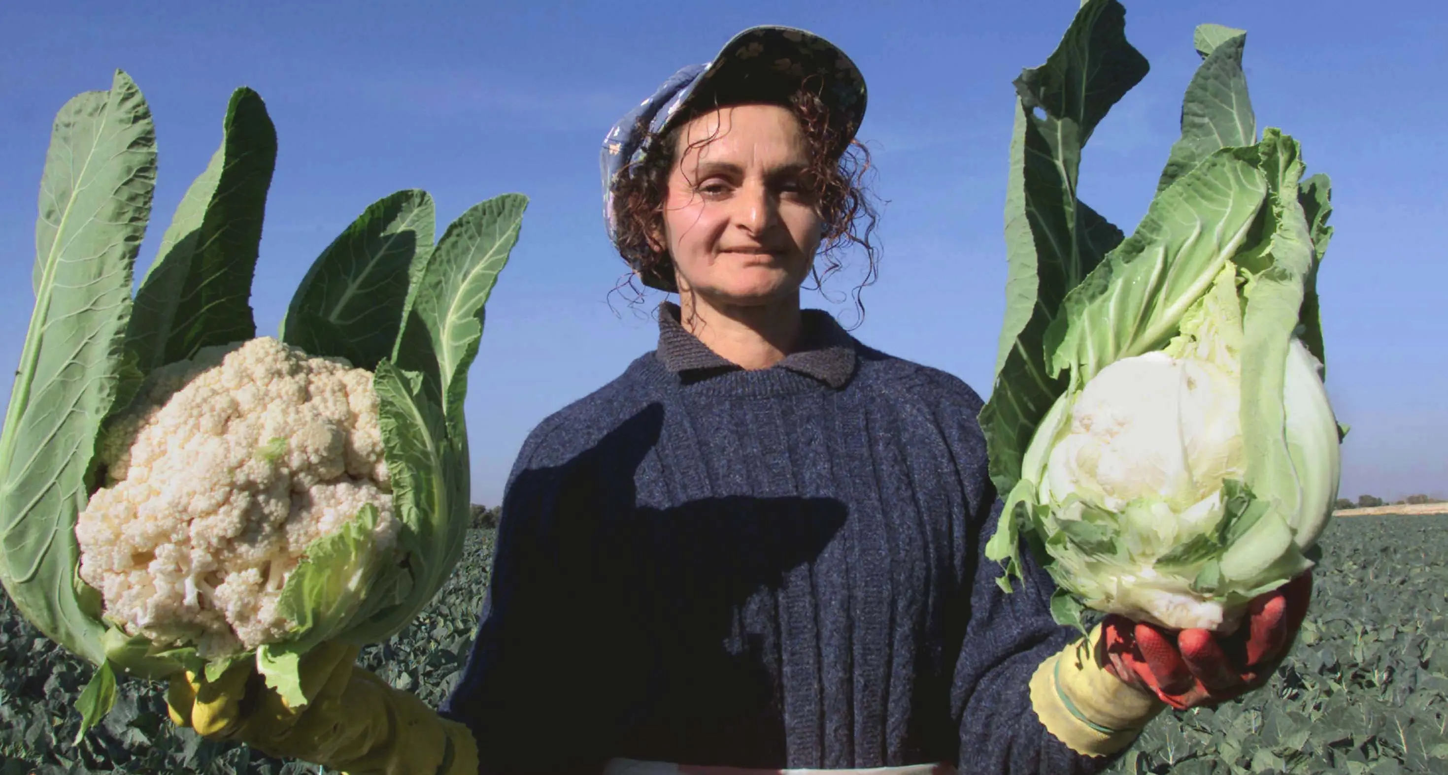 Rinnovo del contratto per un milione di operai agricoli