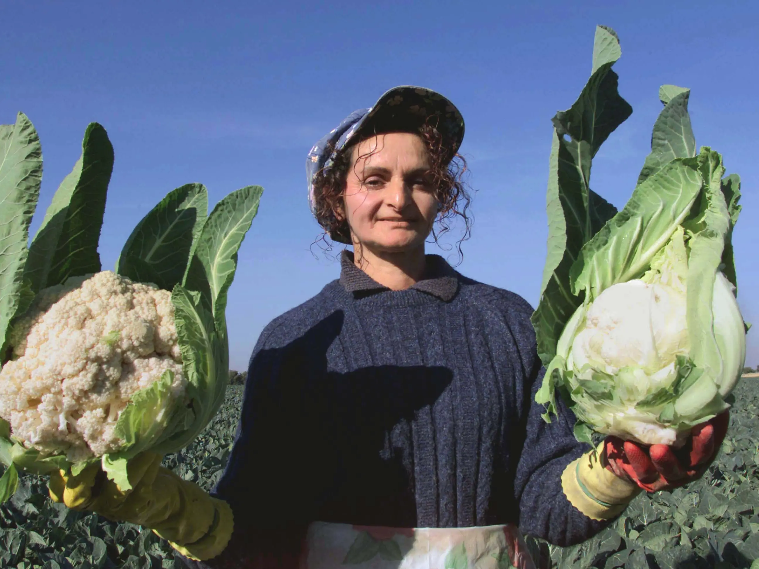 Un milione di operai agricoli, ecco il rinnovo