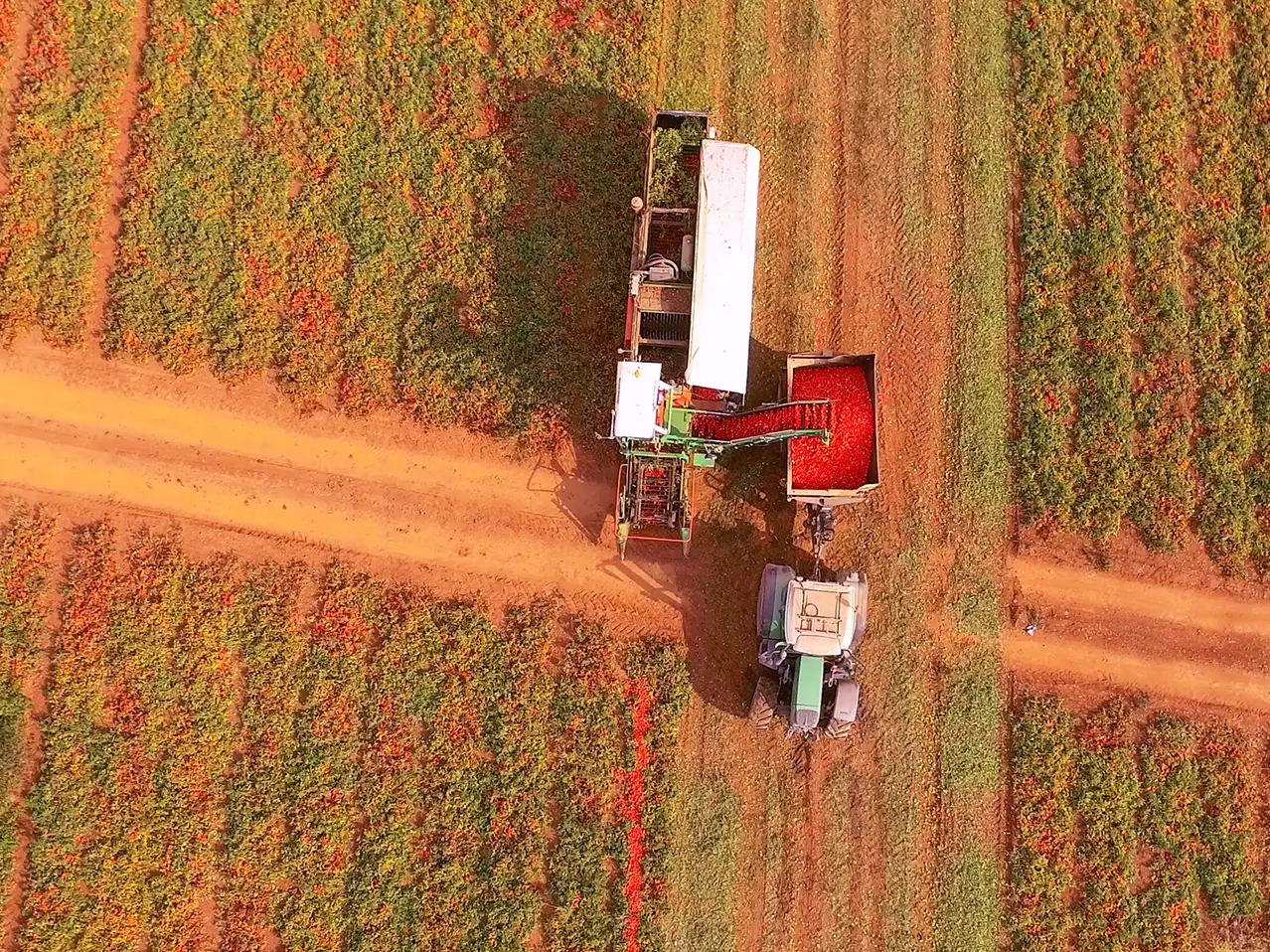 Operai agricoli, un rinnovo che vale molto